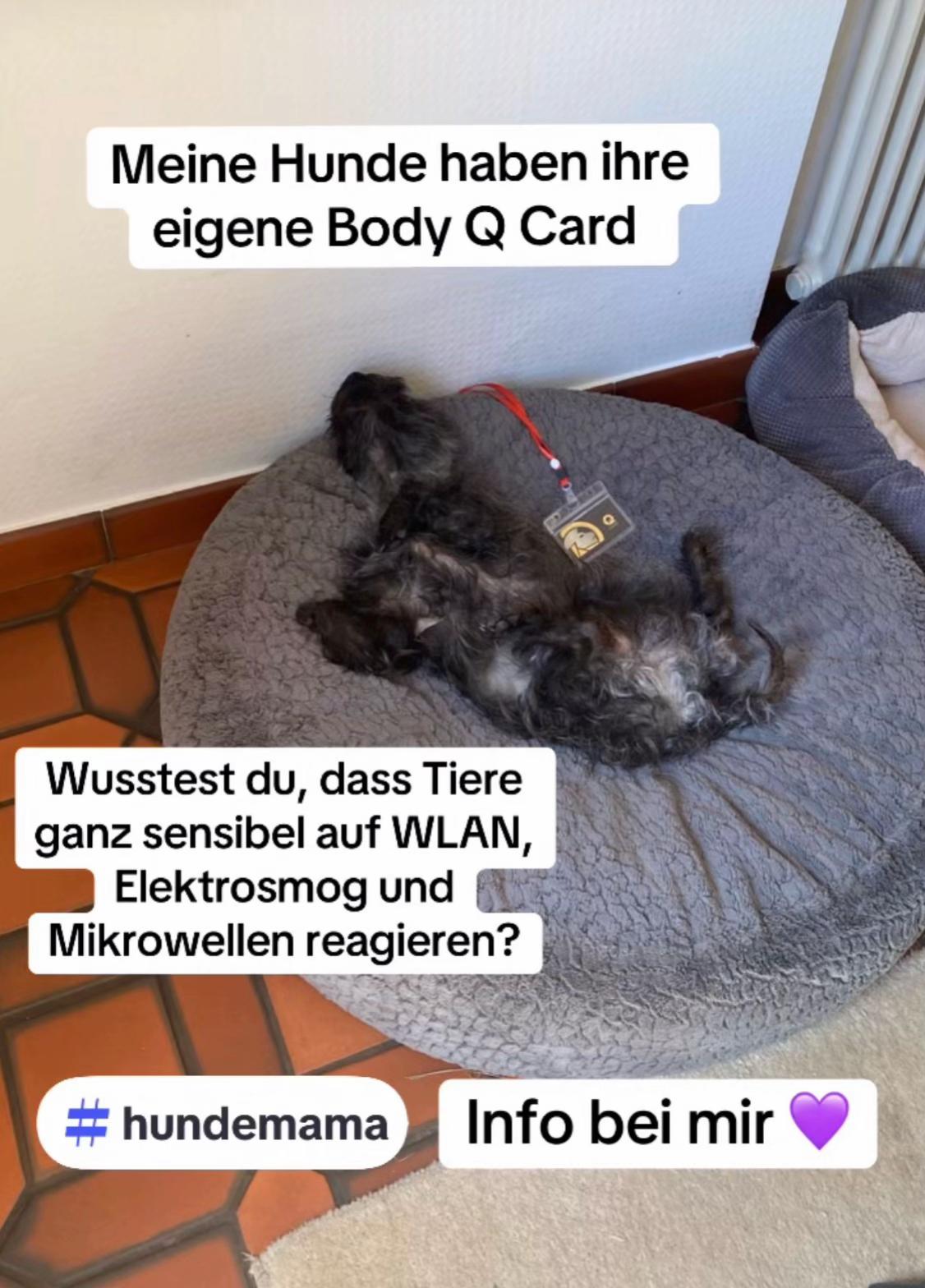 @💚Naturherz.Marion🧚♀️