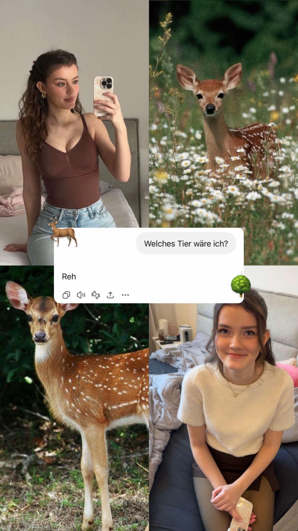 @lucy 🧸