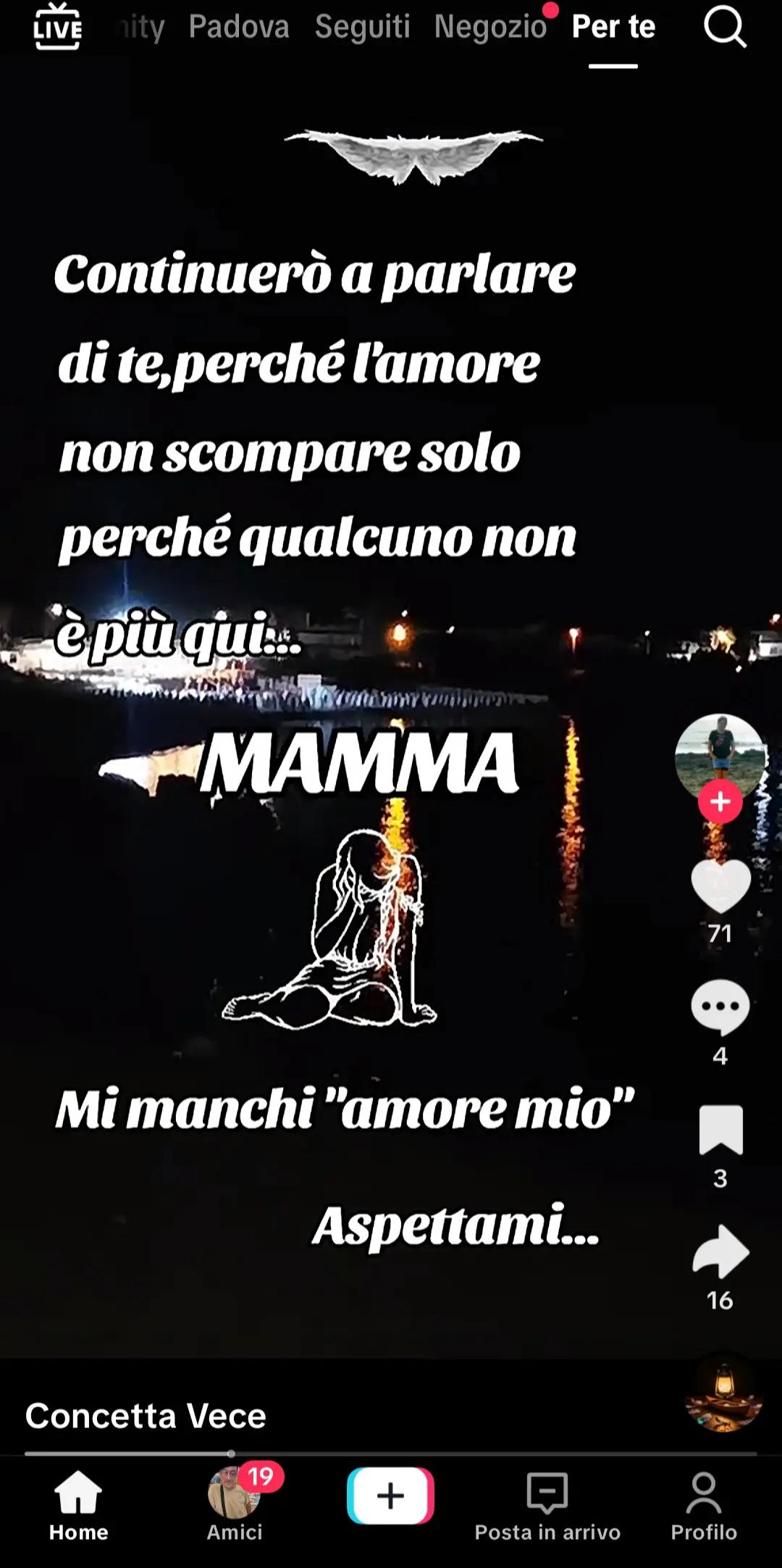 @anna andretta