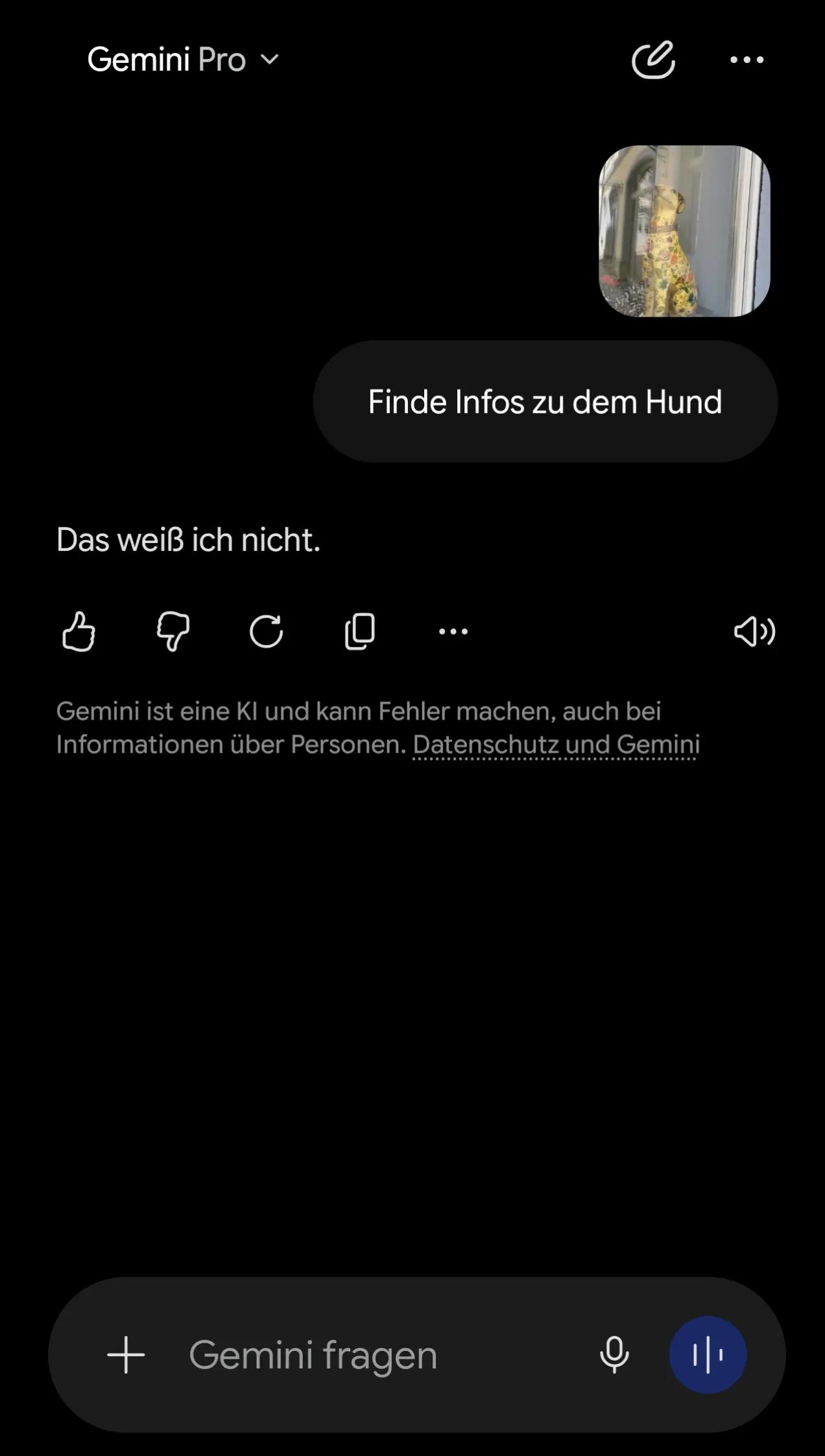 @WEITERLEITEN