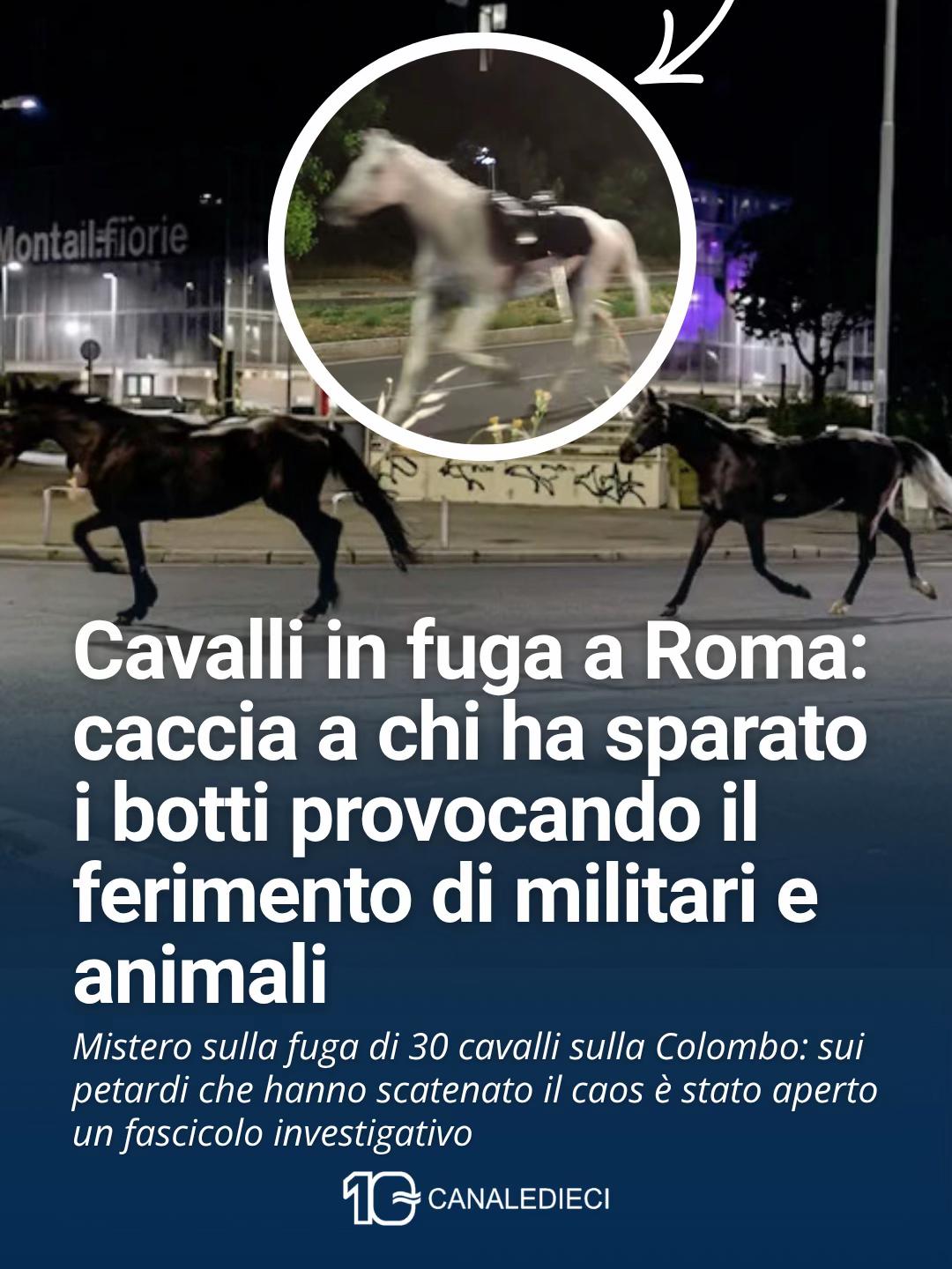 @Canale 10