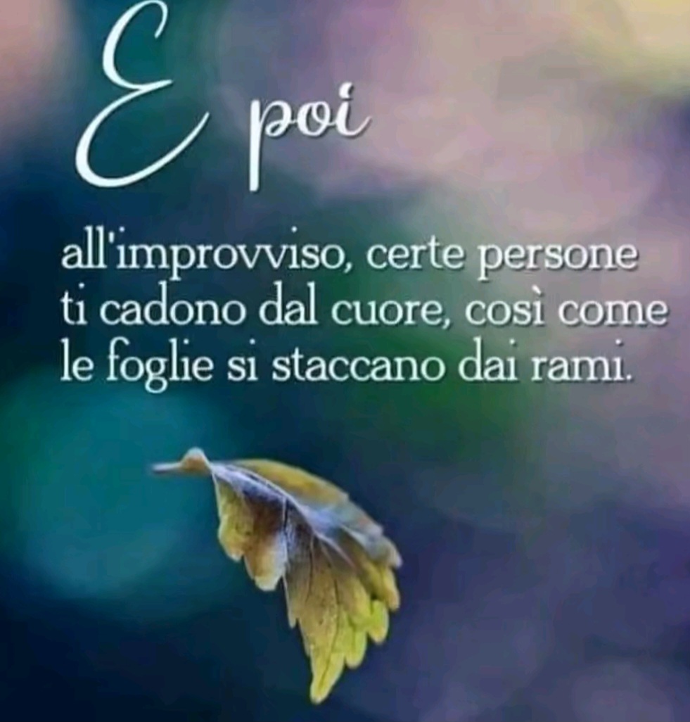 @Debora Murgia