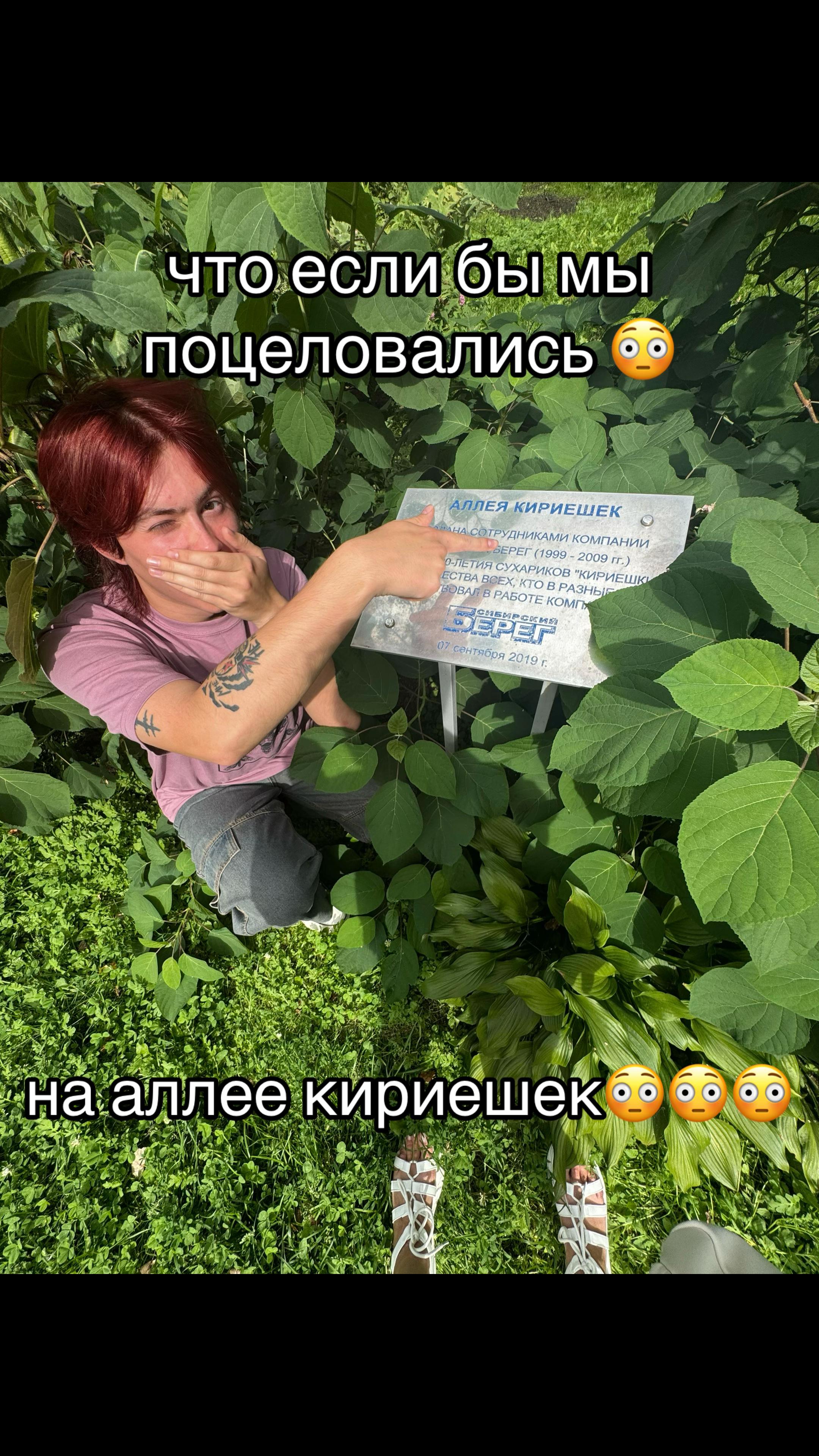 @тгк: сдвг и ерунда