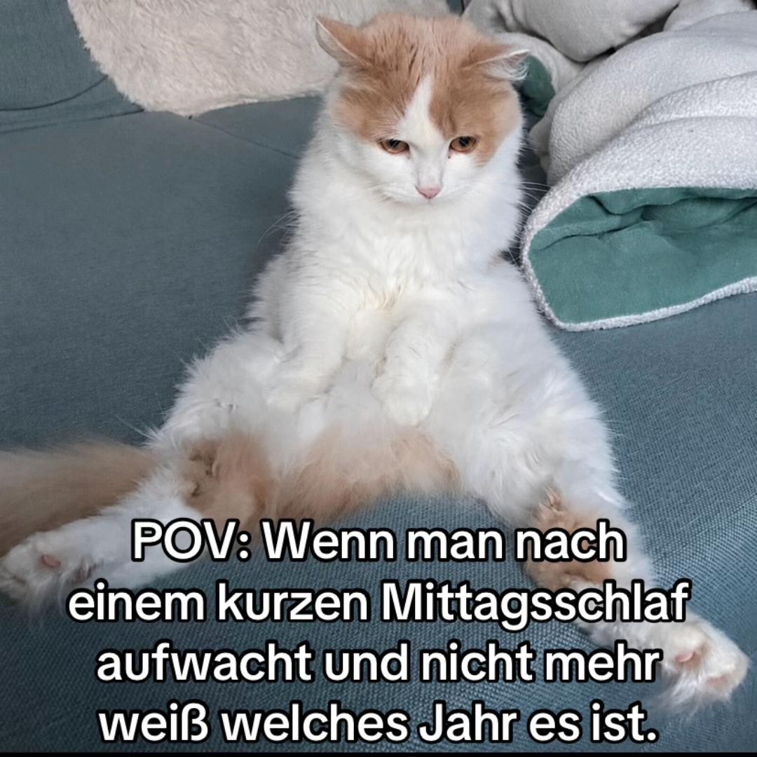 @POVs mit Rambo&Mausi