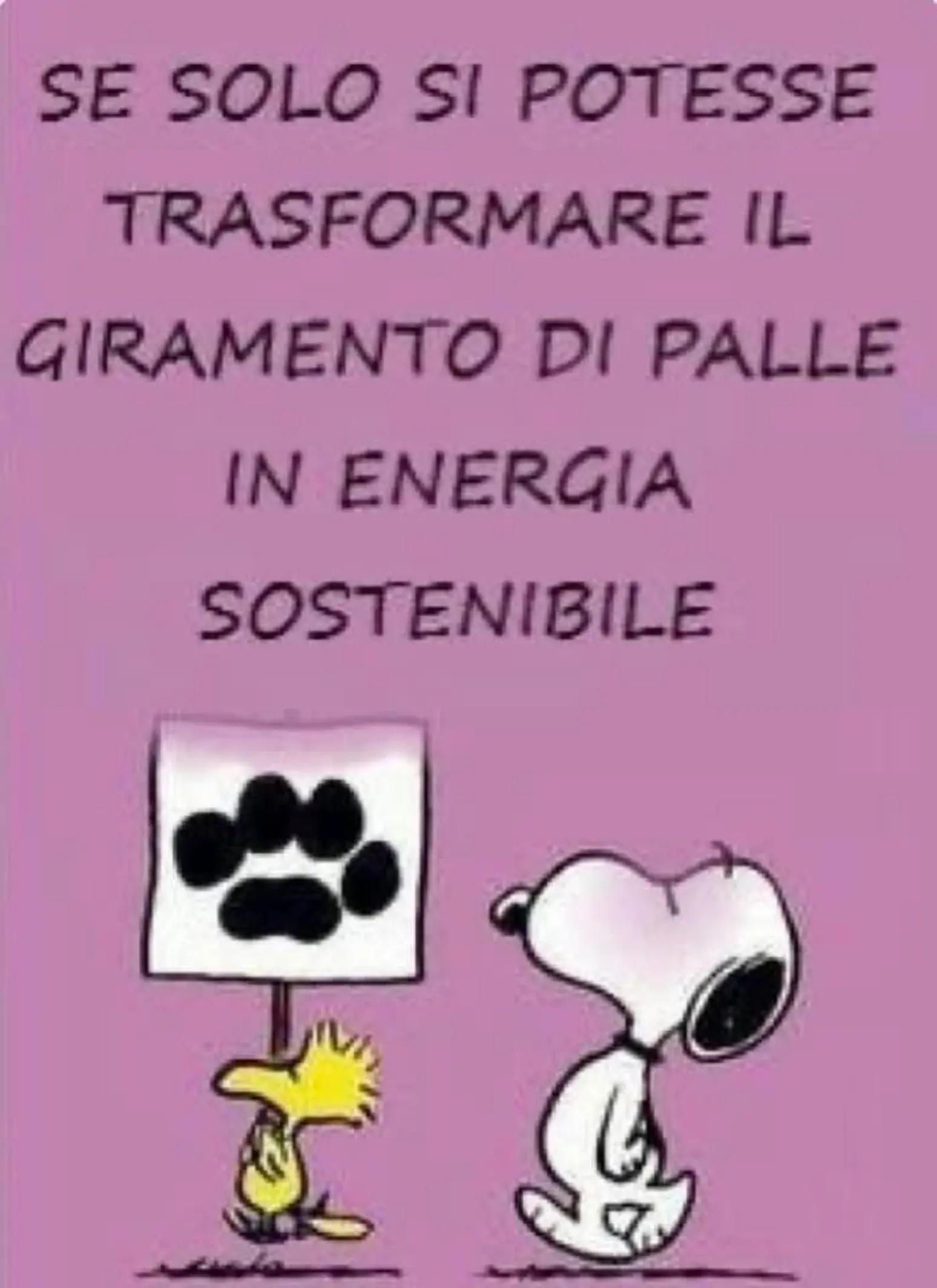 @Antonella Argiolas
