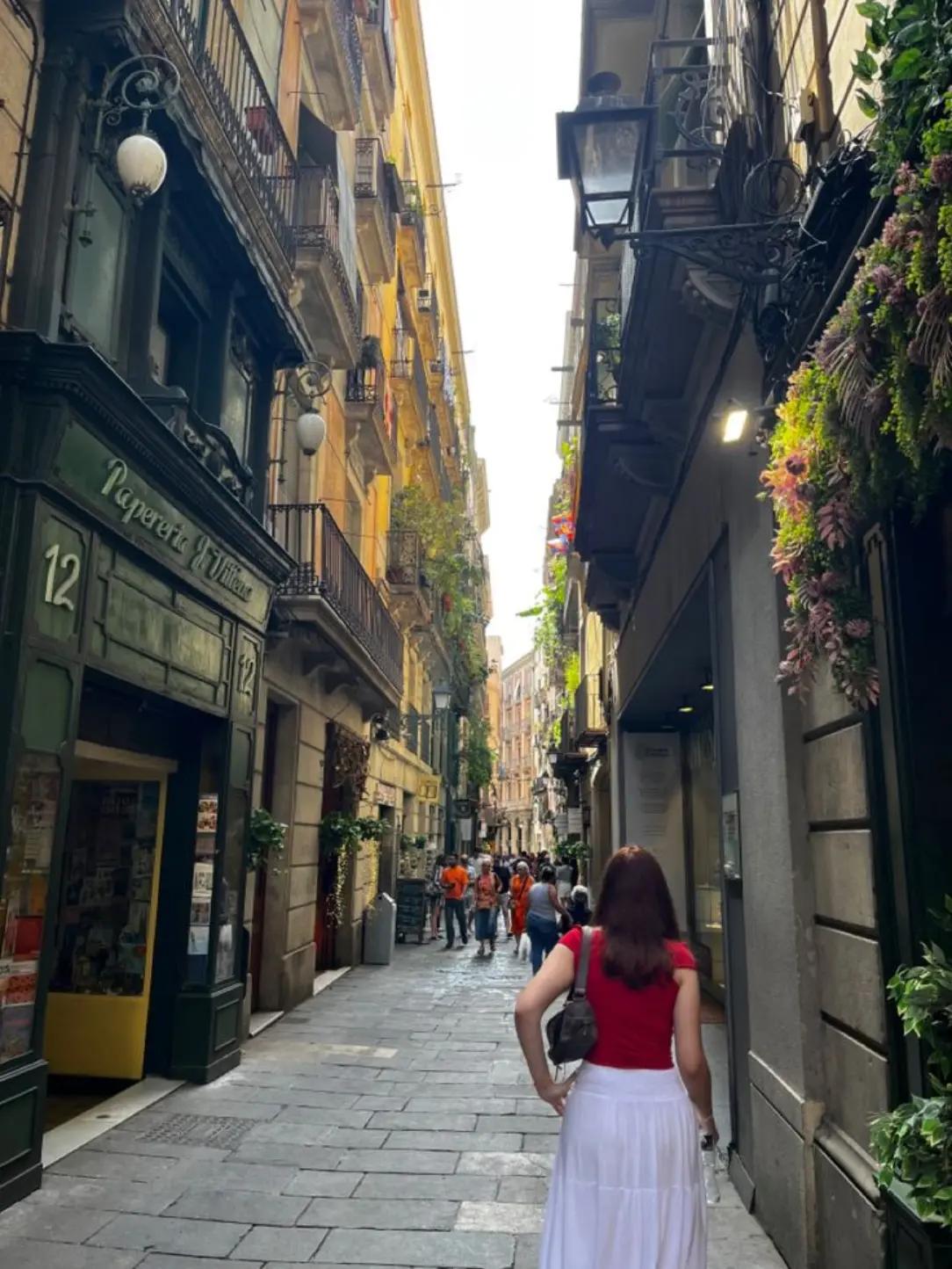 @Rome 🐬