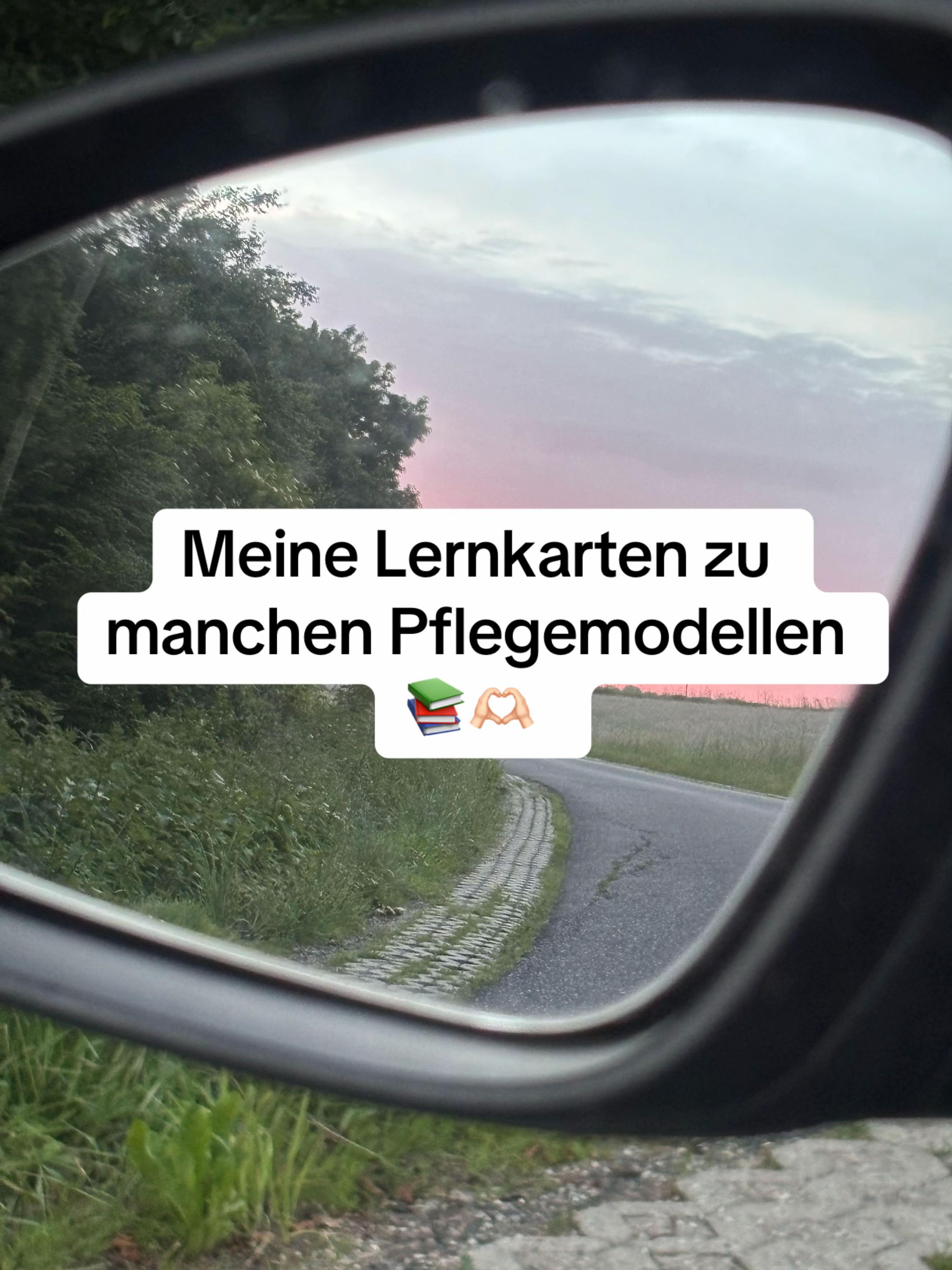 @pflegemaus