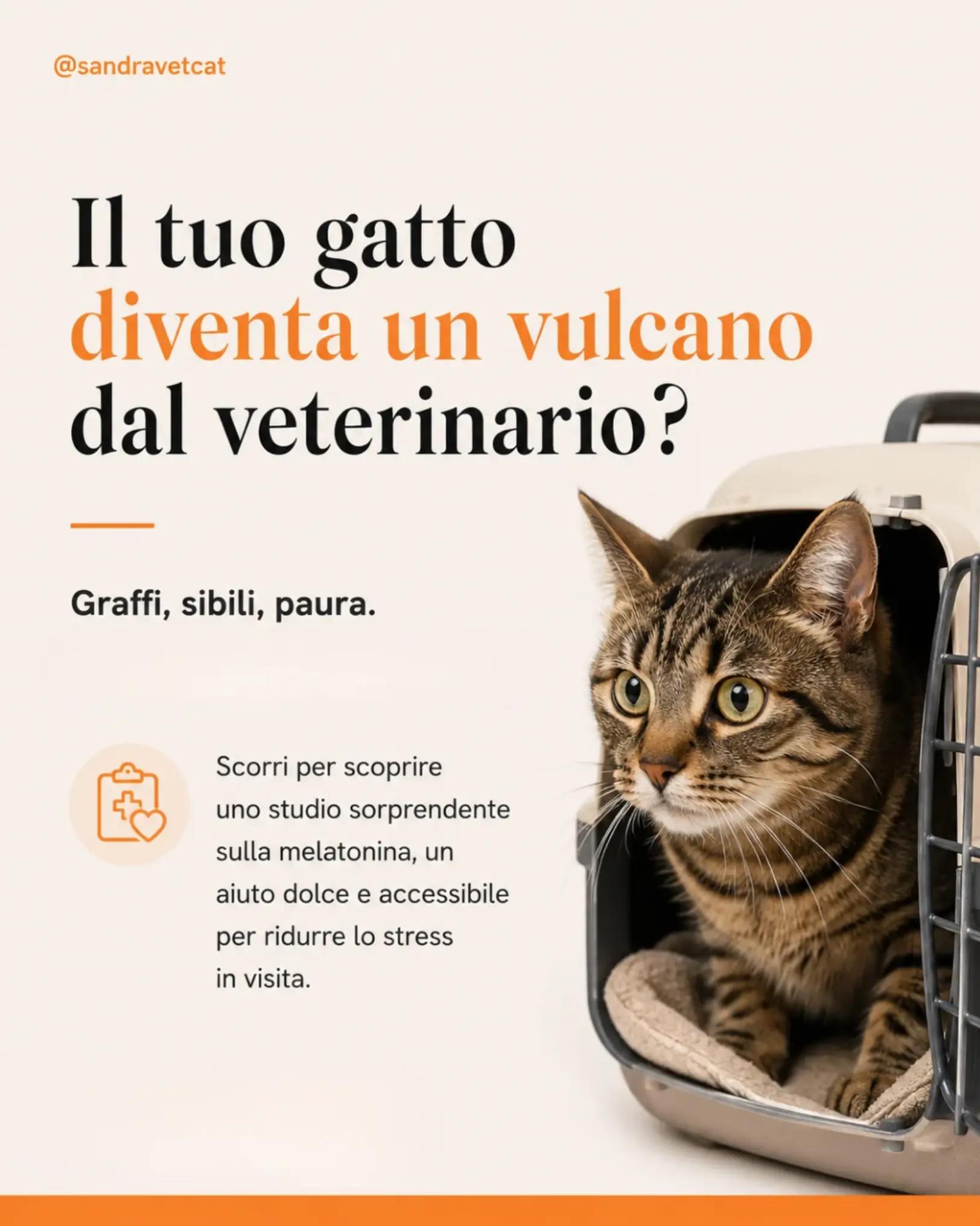 @Dr.ssa Sandra Viana