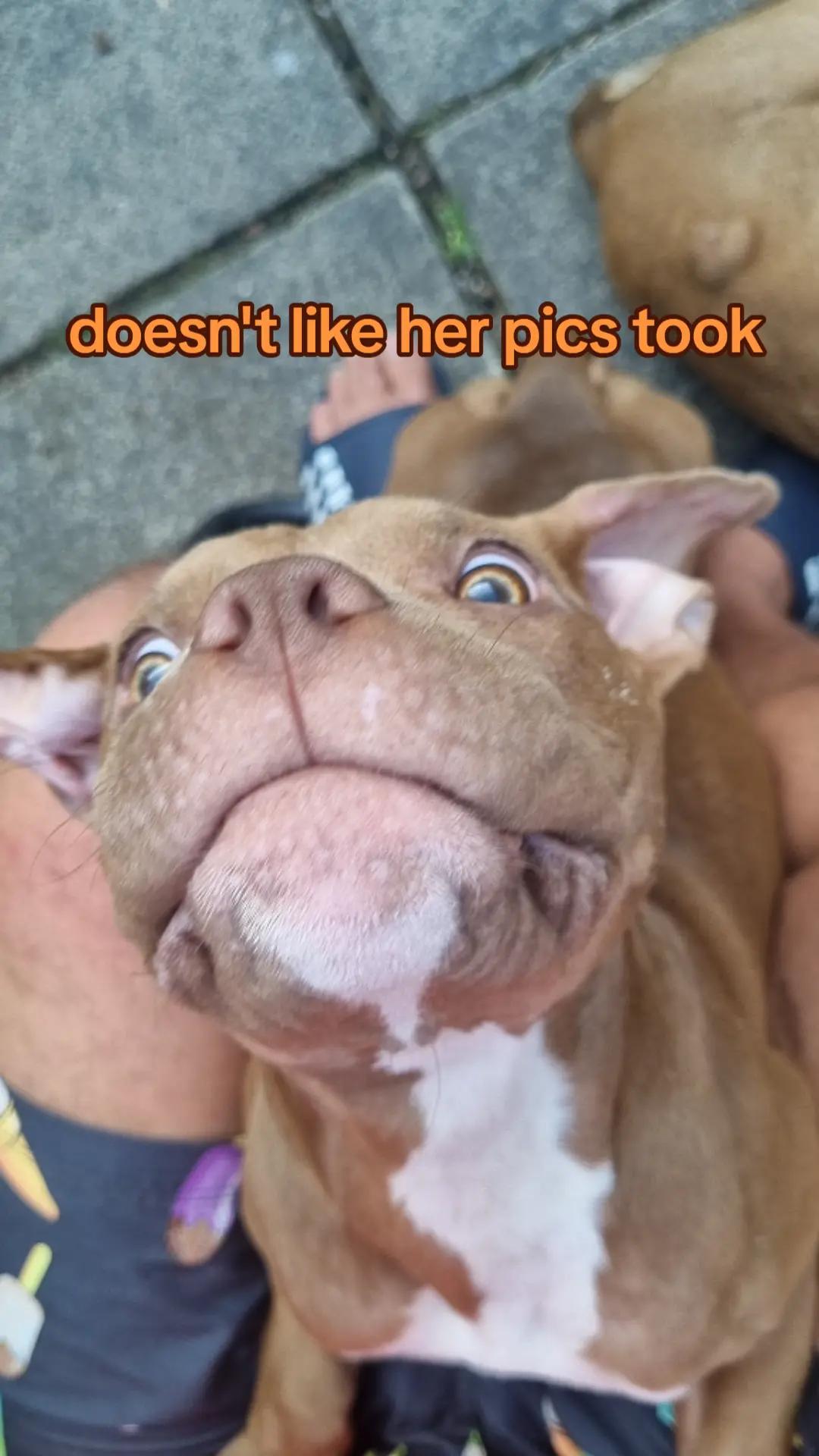 @drew