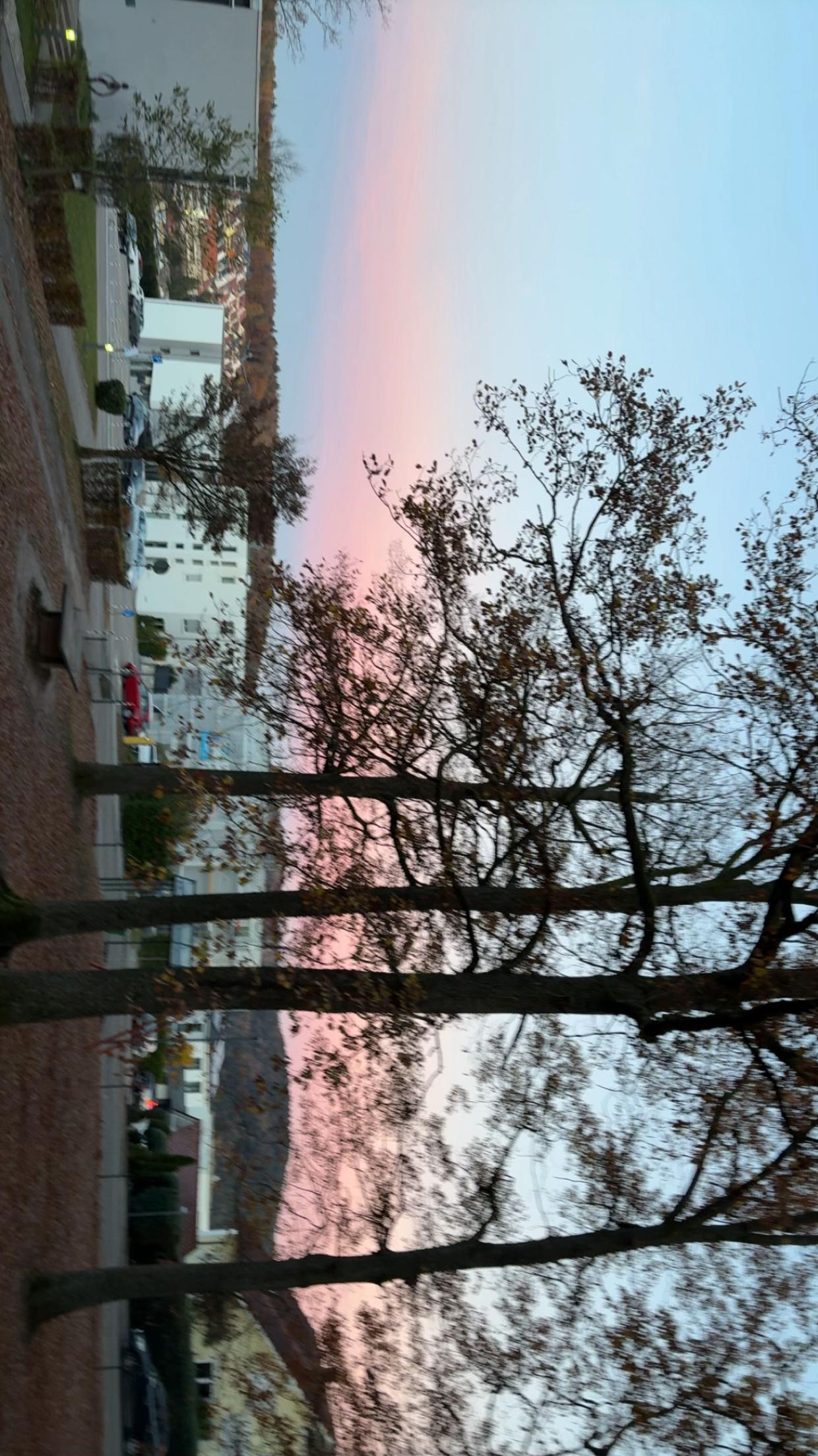 @𝓤𝓼𝓮𝓻&lsquo;🌺 ྀིྀི