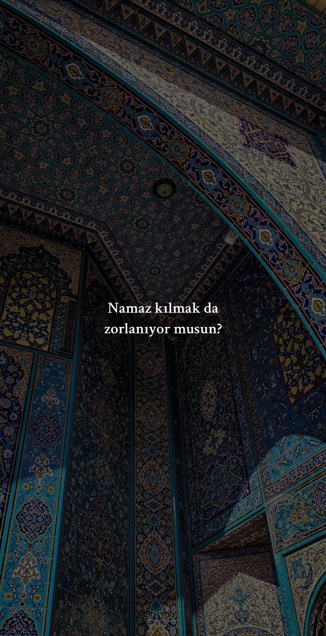 @𝒮.