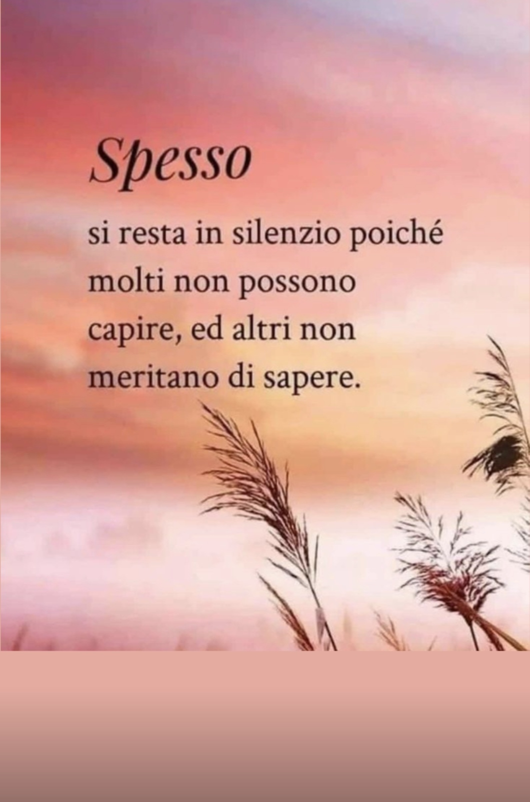 @Corvo Nero