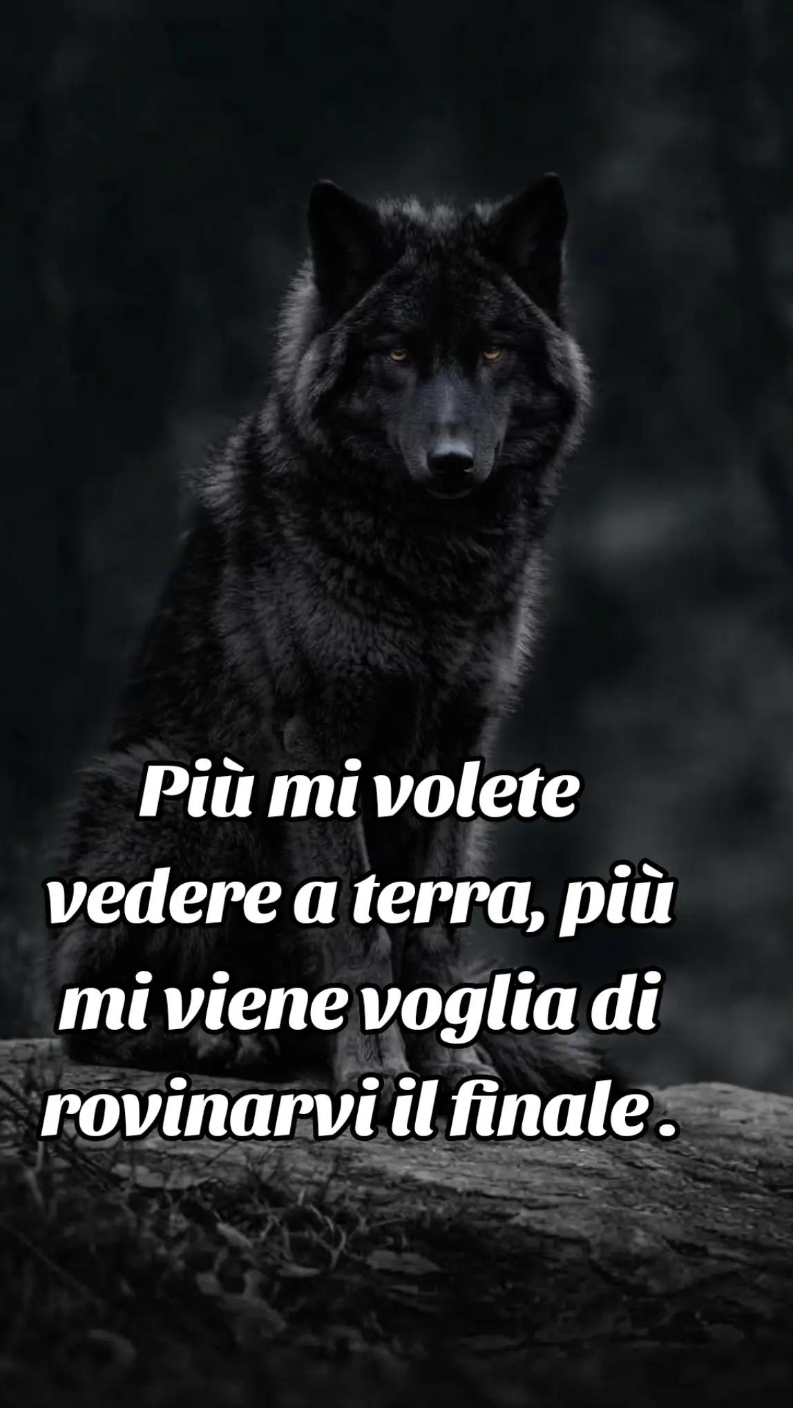 @๐บ๐ฝCrazy Wolf.
