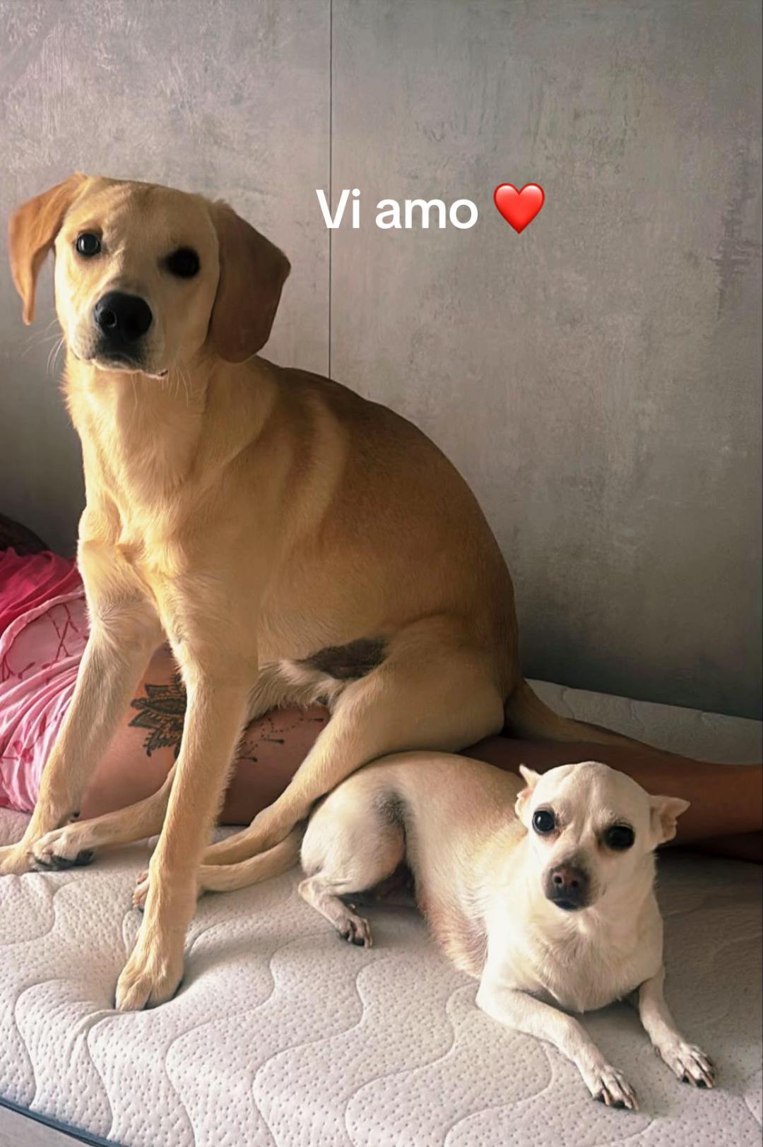 @Veronica Finelli