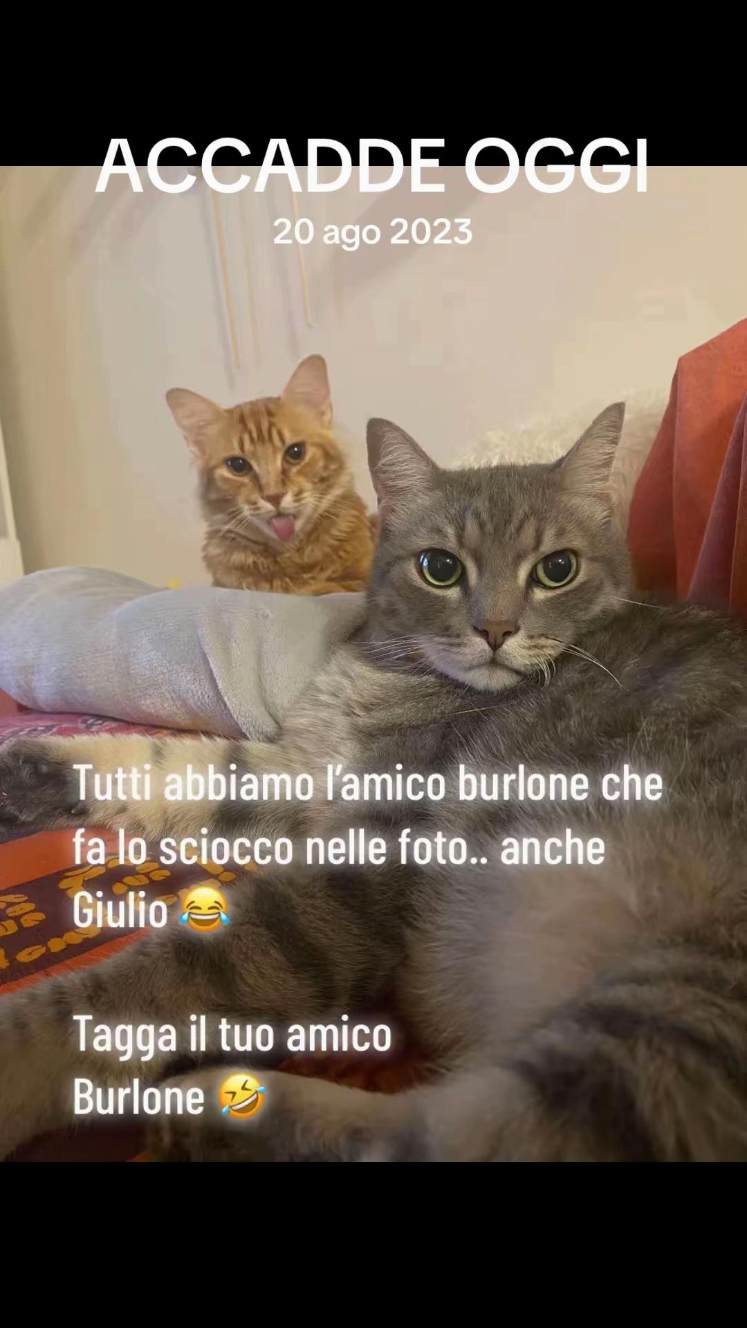 @Mariolover and friends