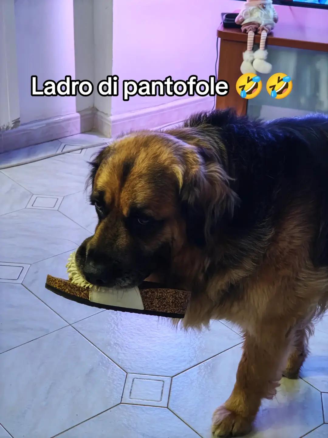@MANUELA