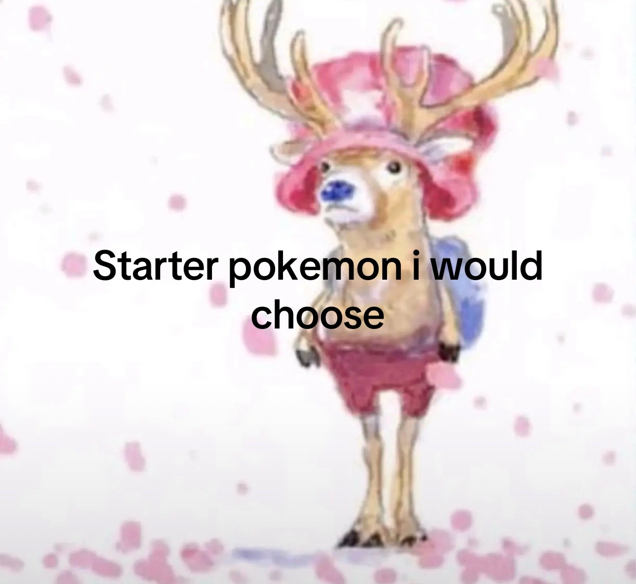 @Megu