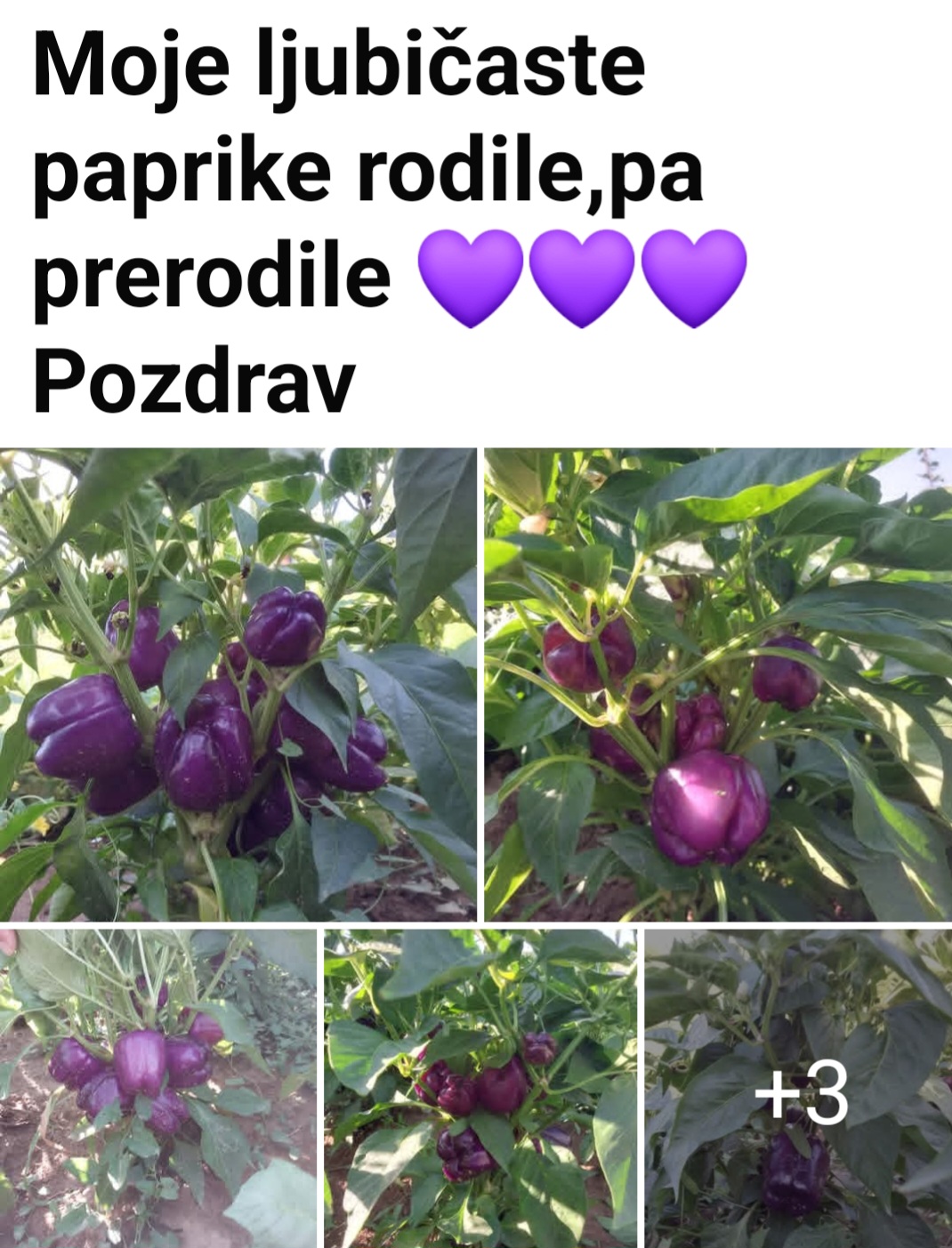@nedo bog nikom 🔥🔥🔥🔥🔥🔥