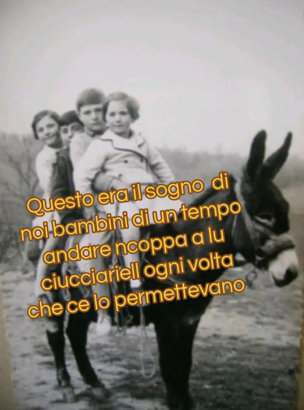 @ELE..meglio folli che noiosi