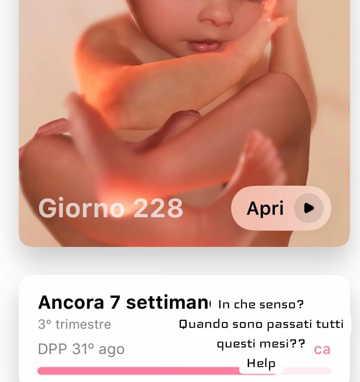 @MariaRosa Longo