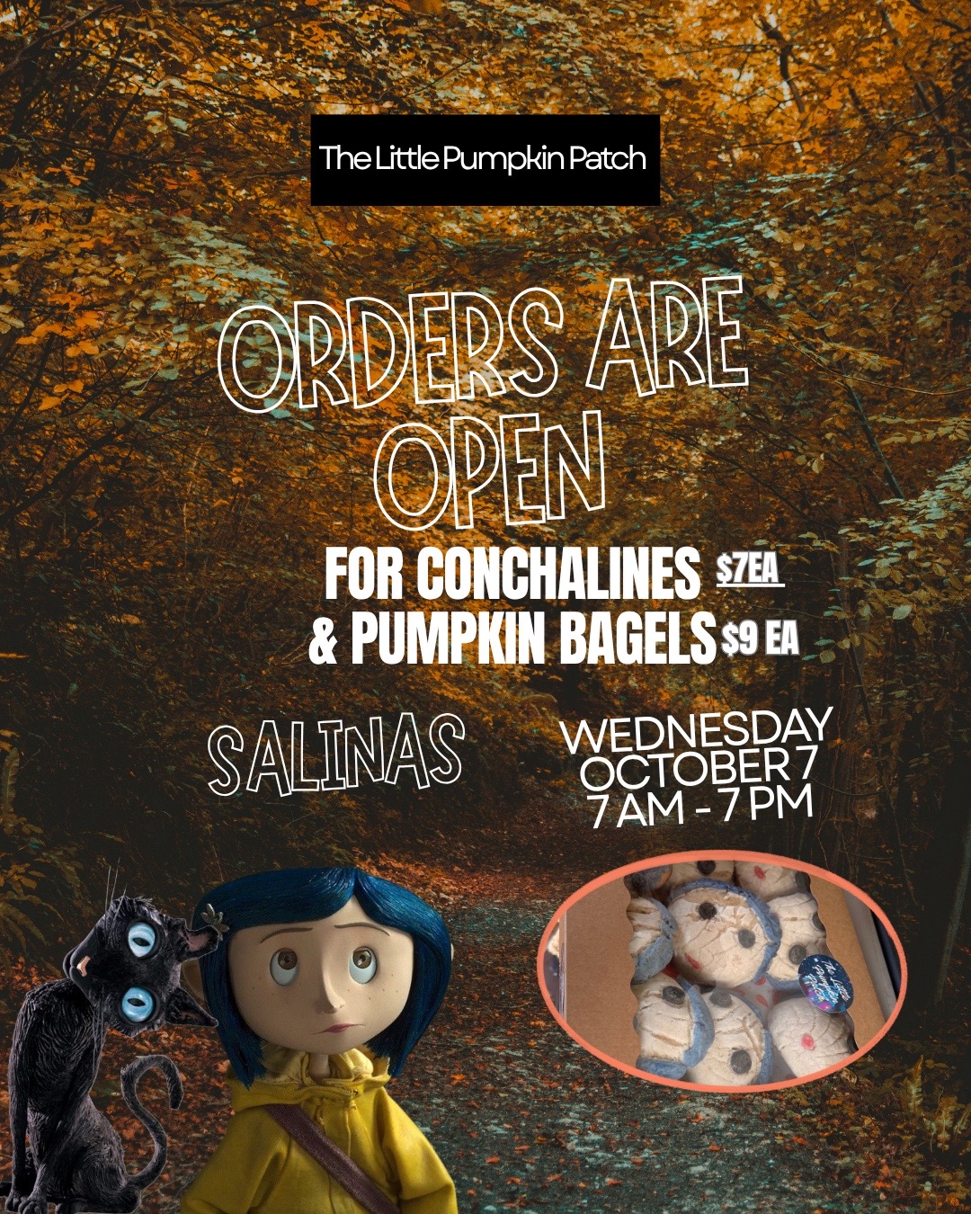 @C A L Y S S A ๐๐