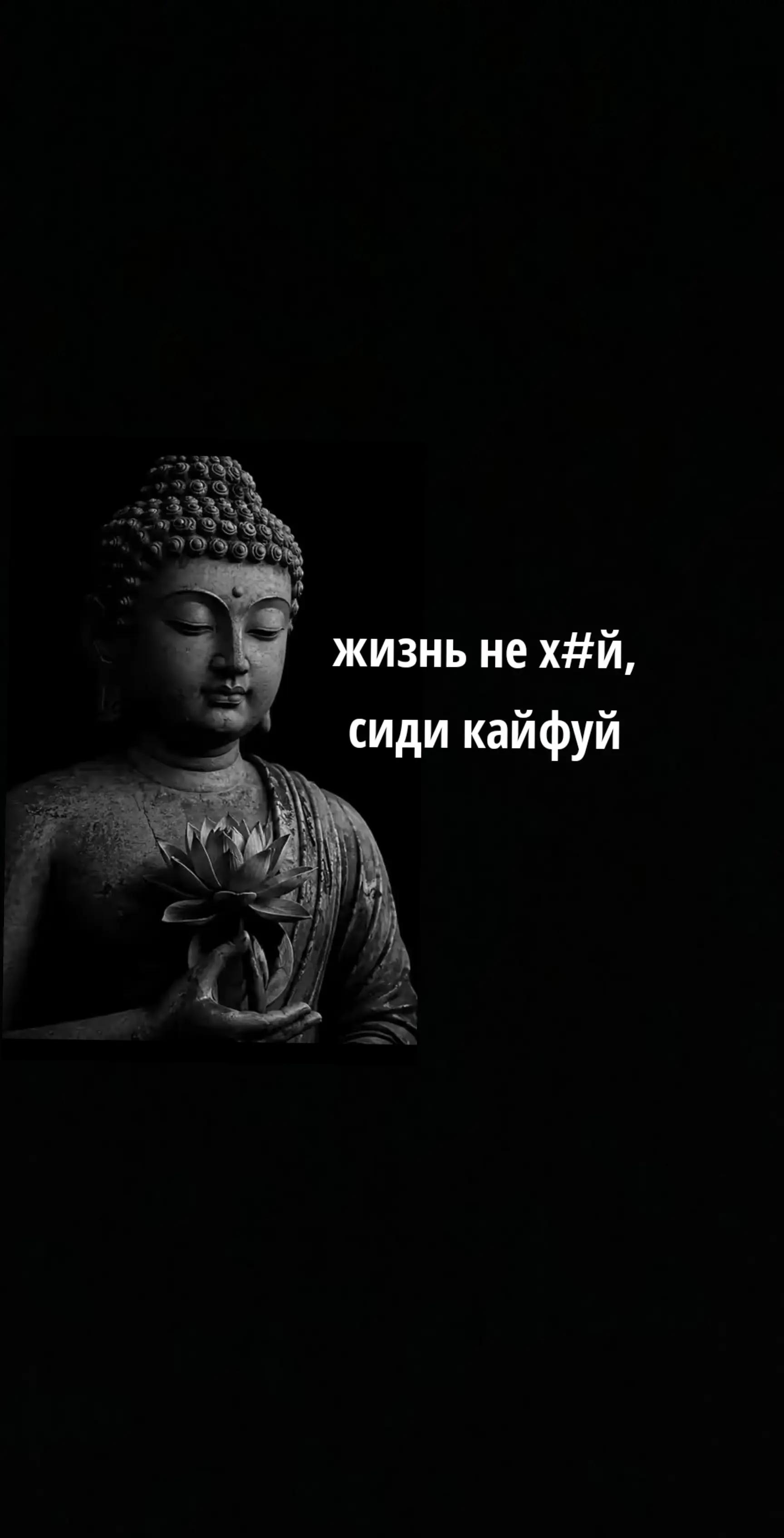 @ツ 𝕋ℍ𝔼 𝕄𝔸𝕏𝕊 ツ