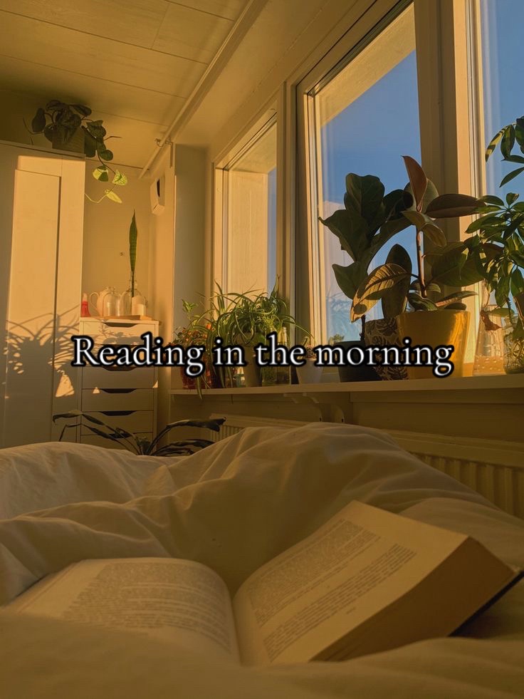 @☆booktok ☆