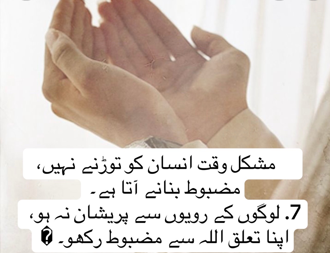 @Monika USA🇵🇰🇺🇸