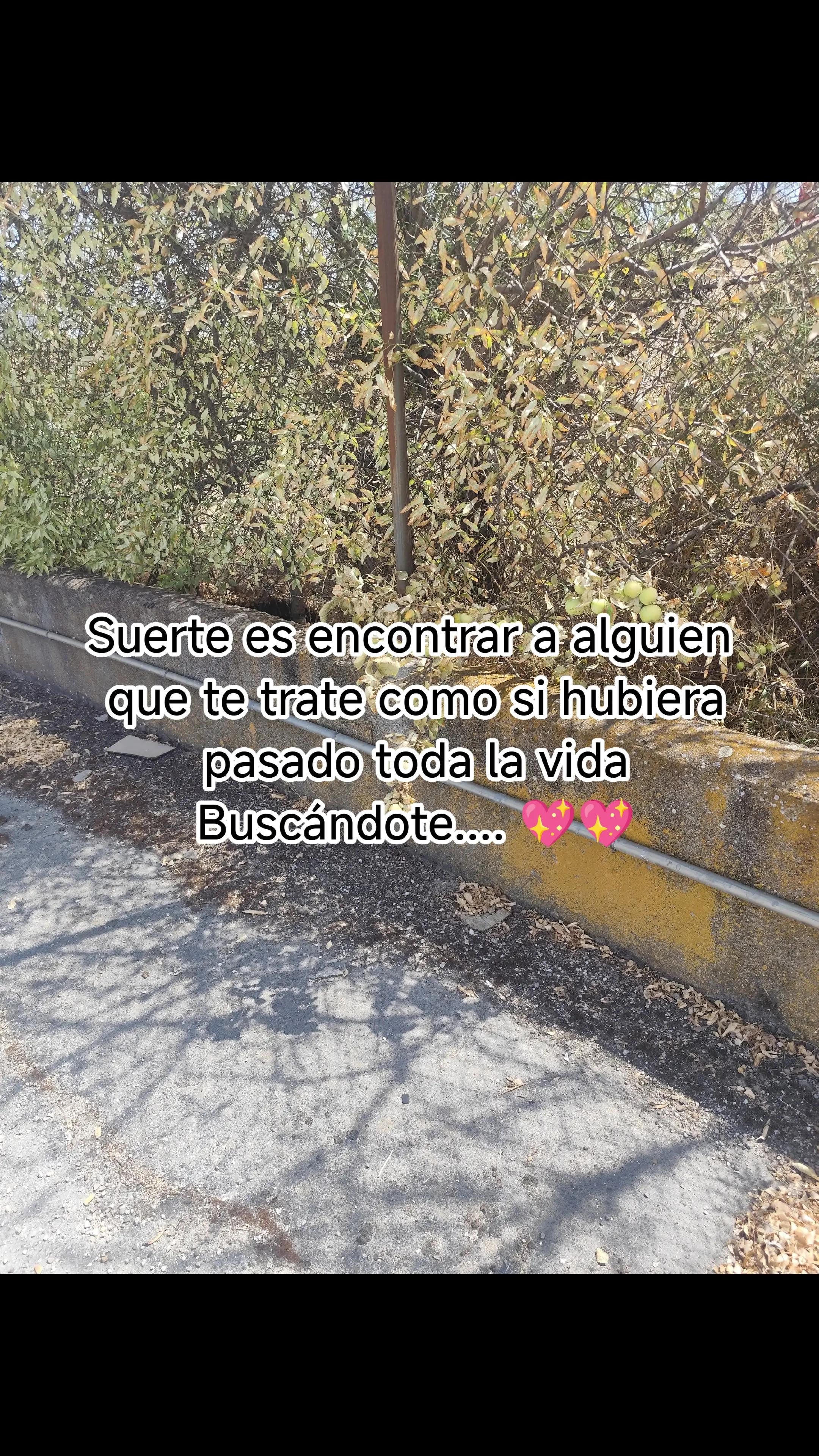 @Alda