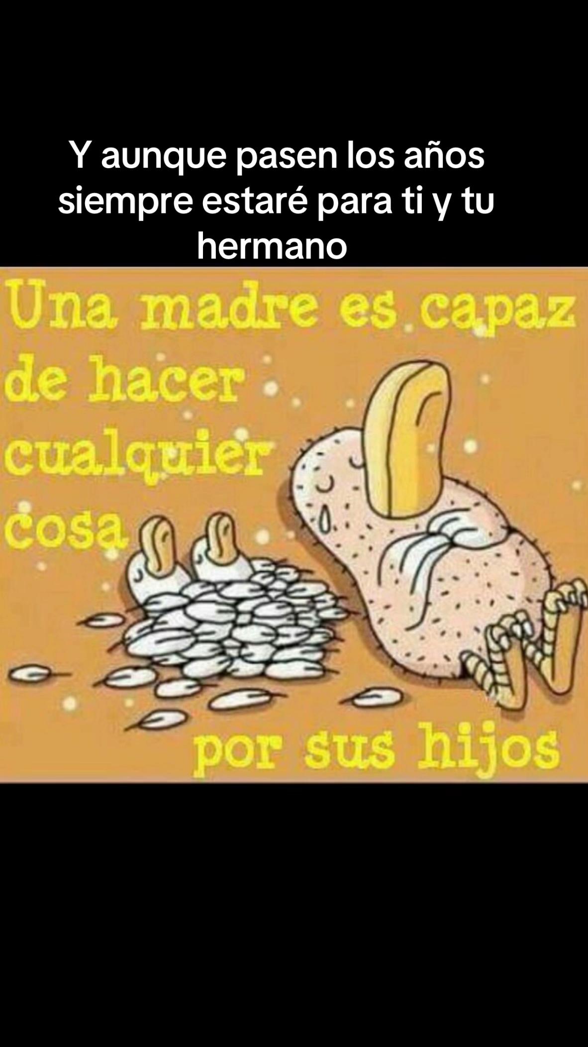 @Carmen Tomás 13