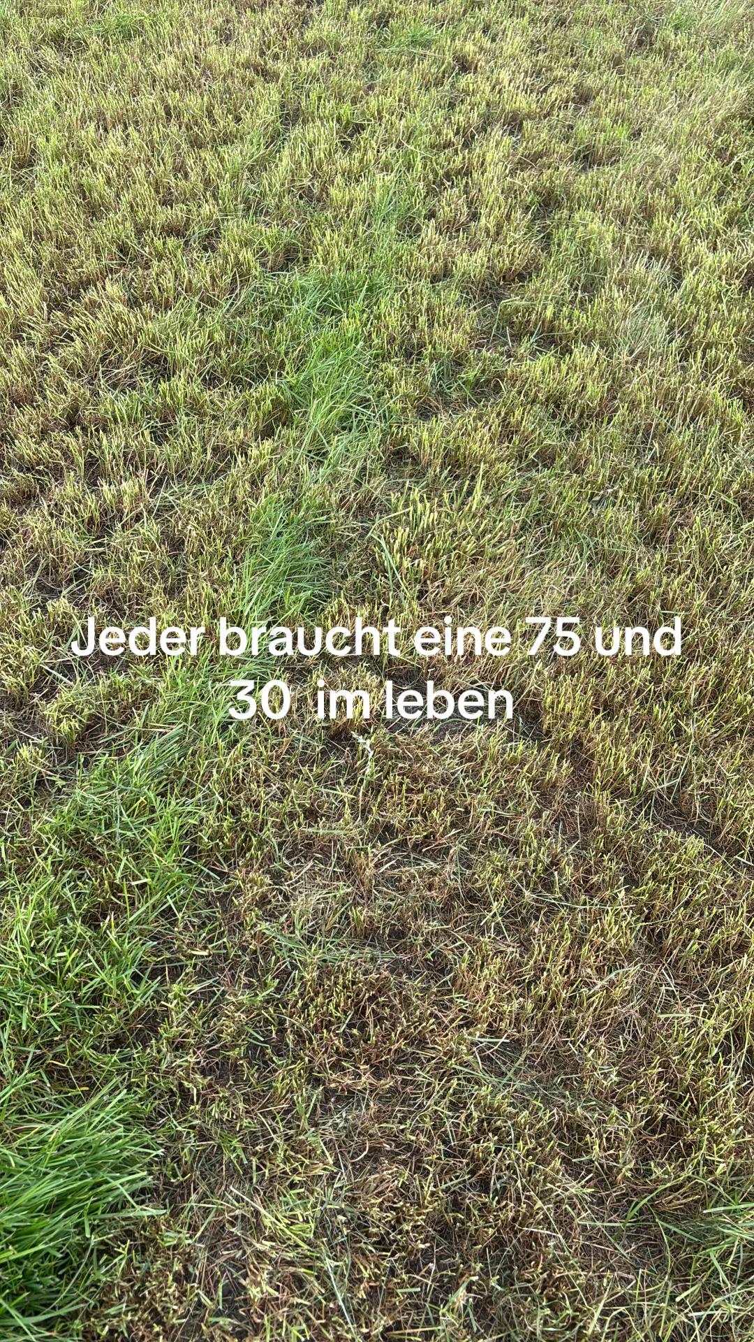 @Tim Schröder JD 💚💛