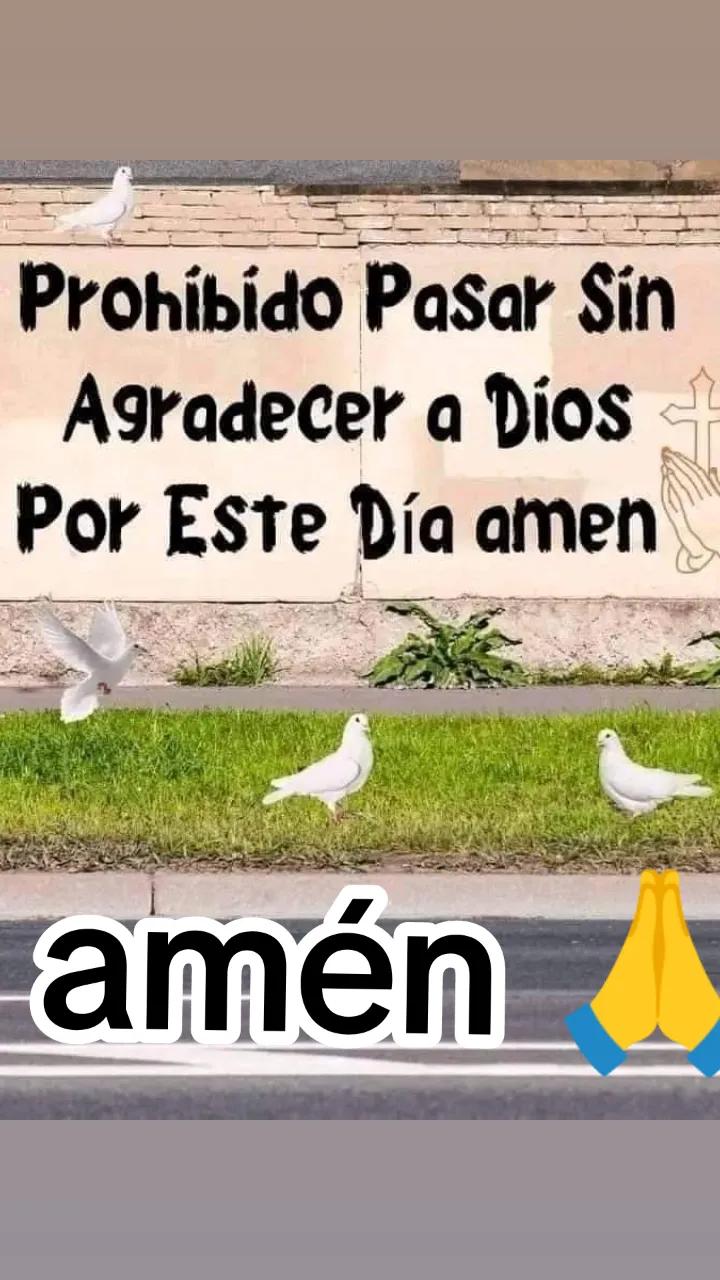 @Consuelo Diaz