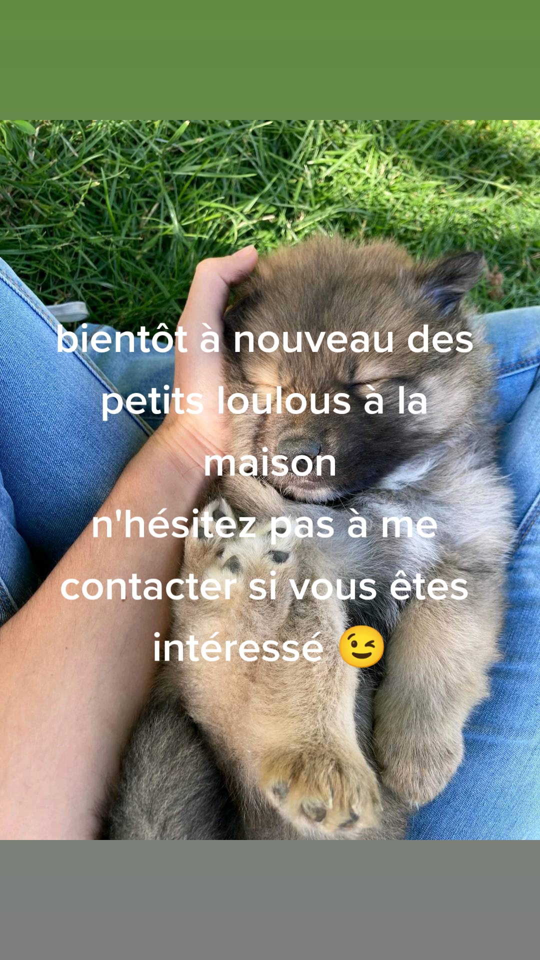 @les Joly eurasiers