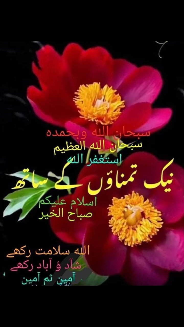 @Syed Imran 11483