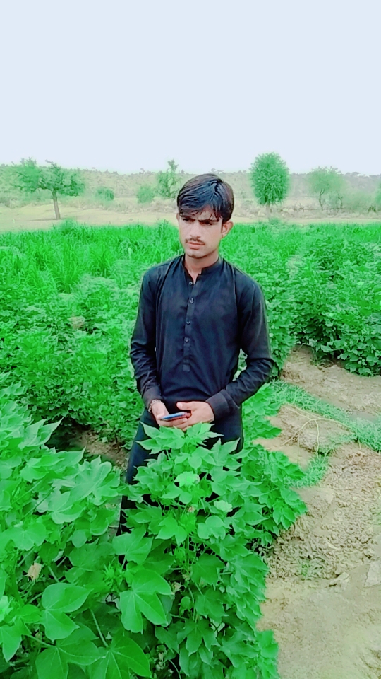 @Sher Mohammed