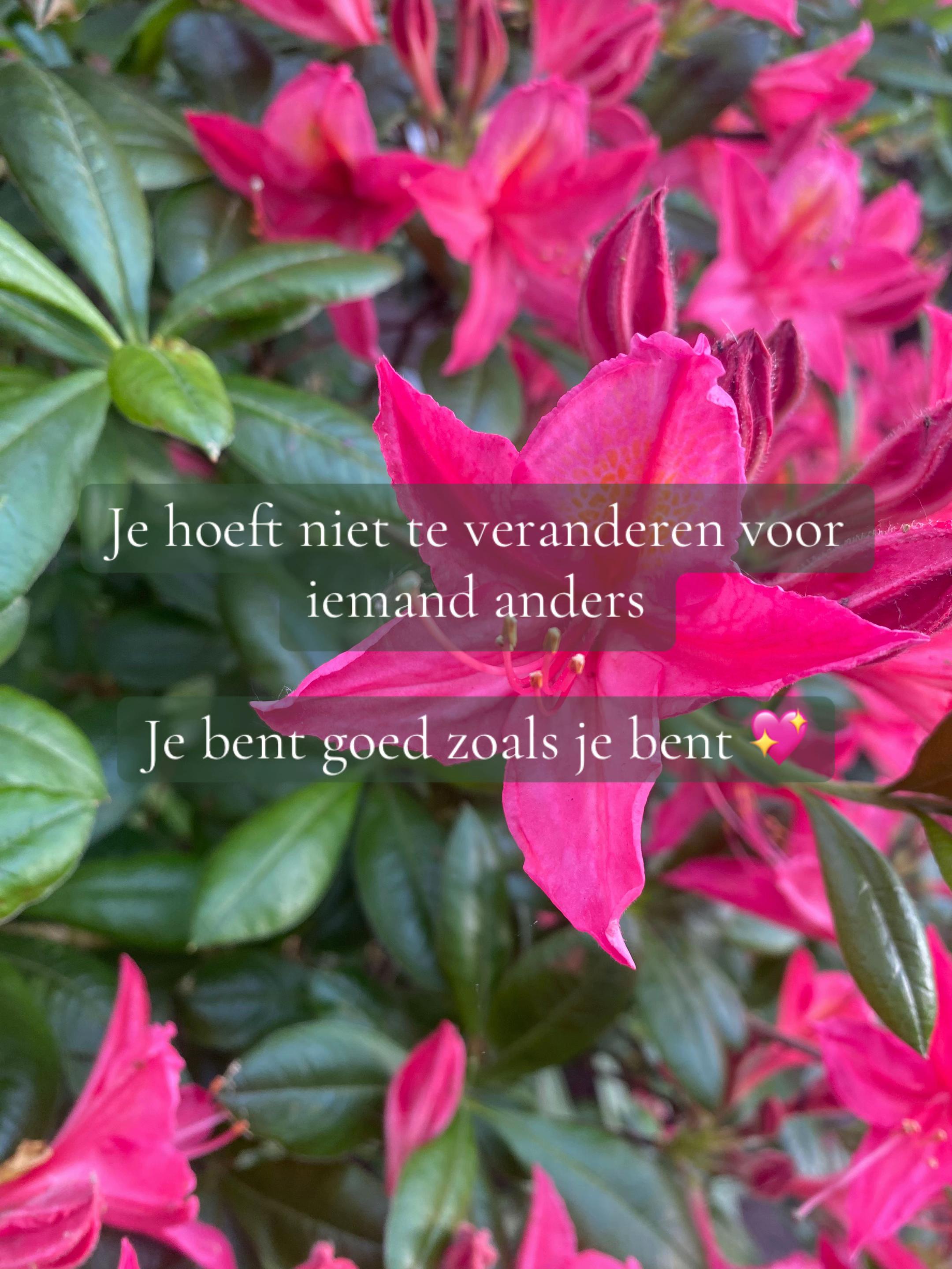 @Marloes.