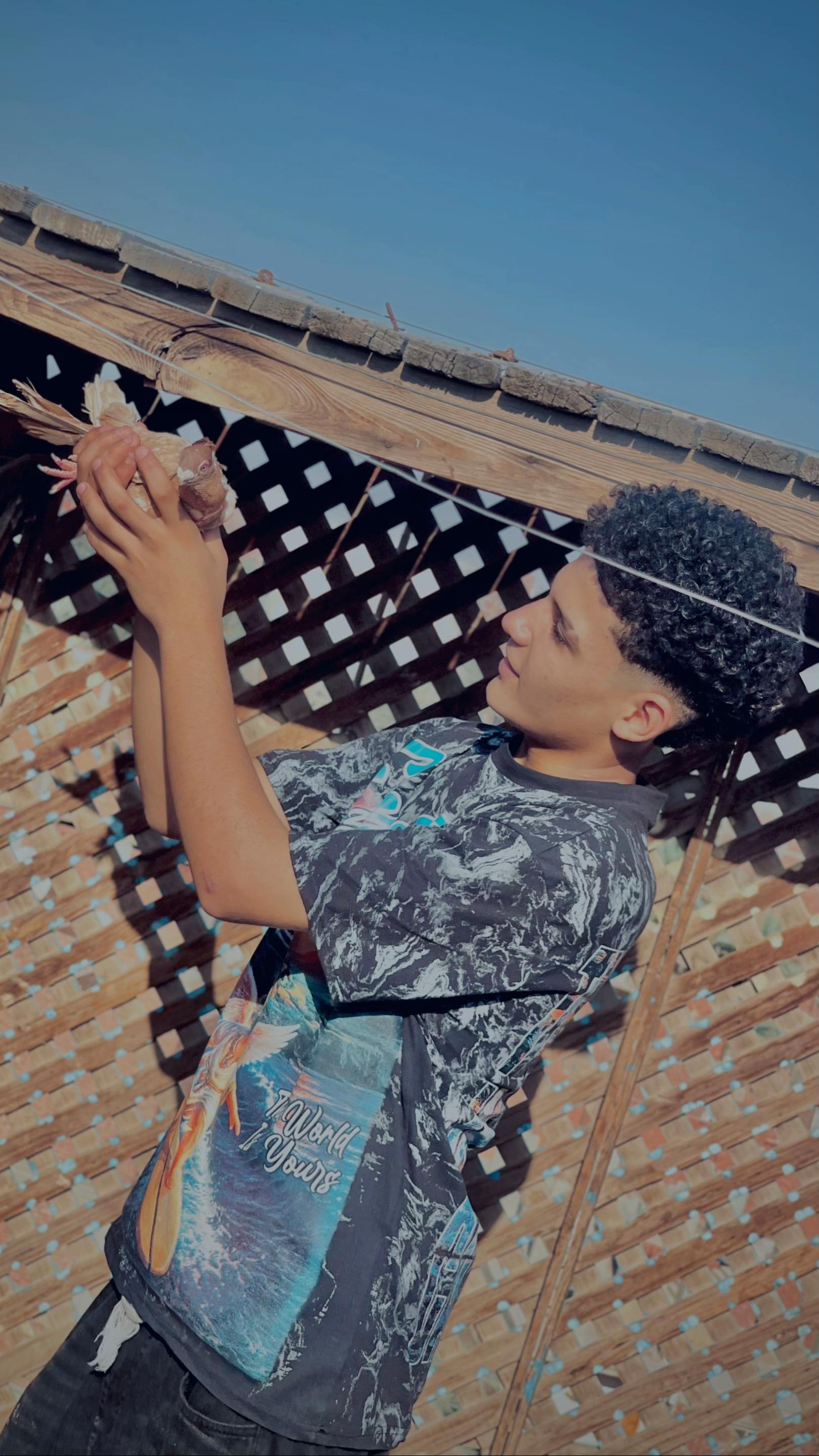 @⛰️الــمُــرر (خمسه في٪)🐦&zwj;🔥⛰️