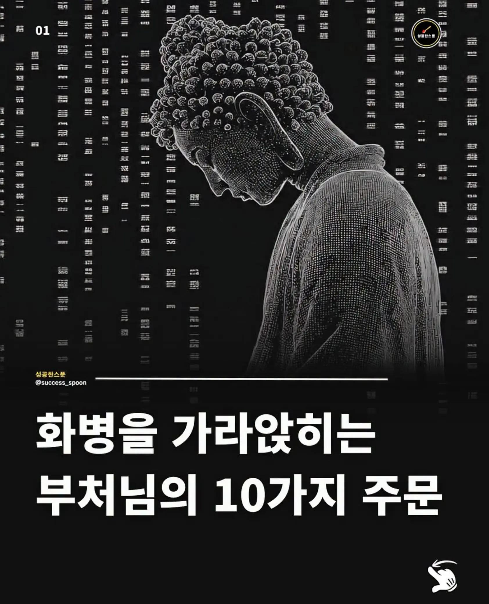 @@냥이글
