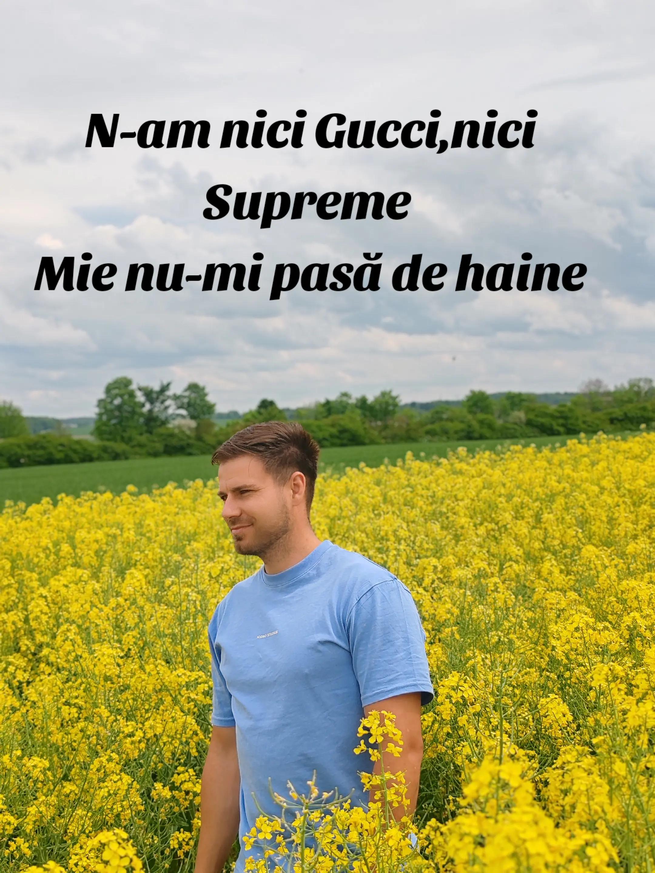 @Liviu Papaa