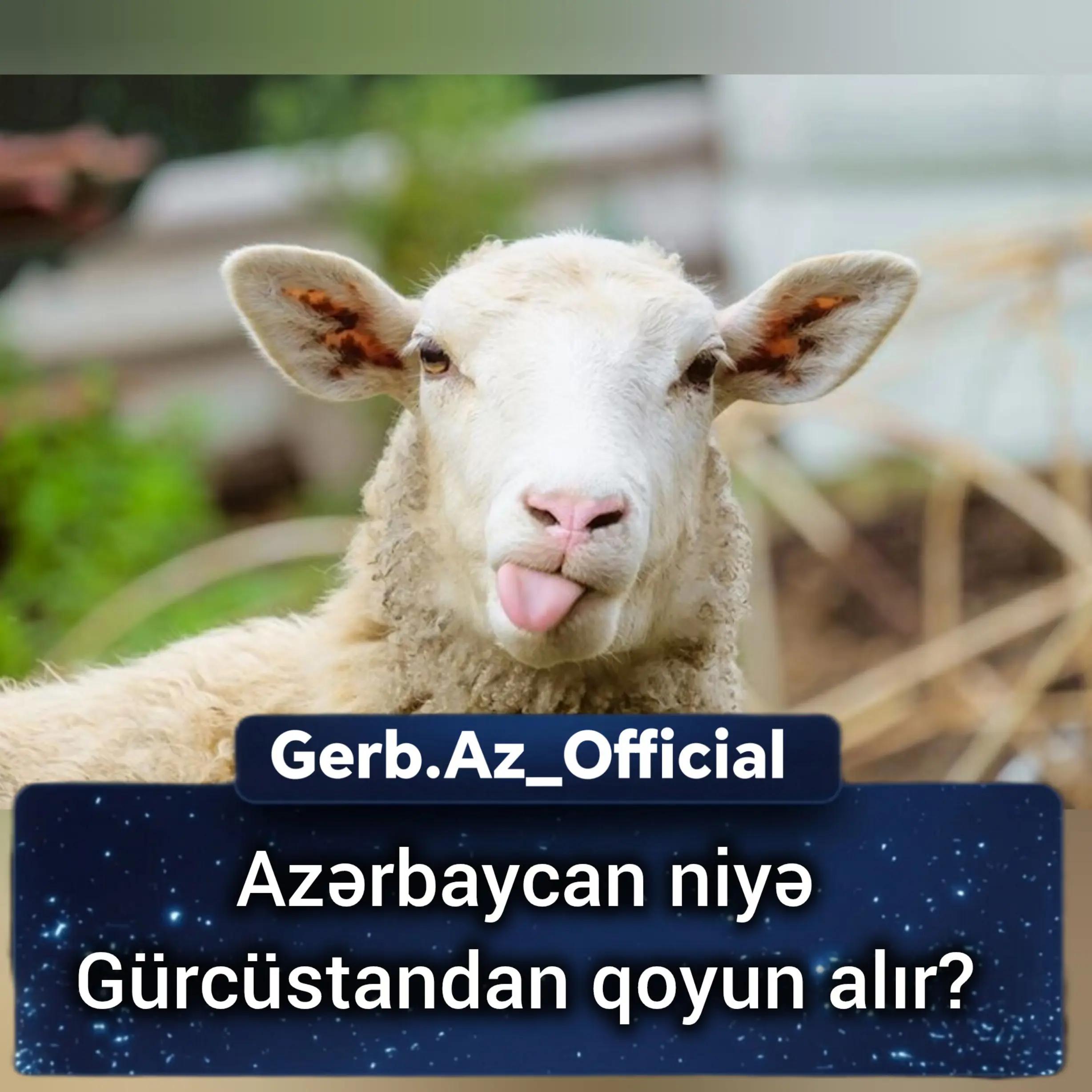 @Gerb.Az