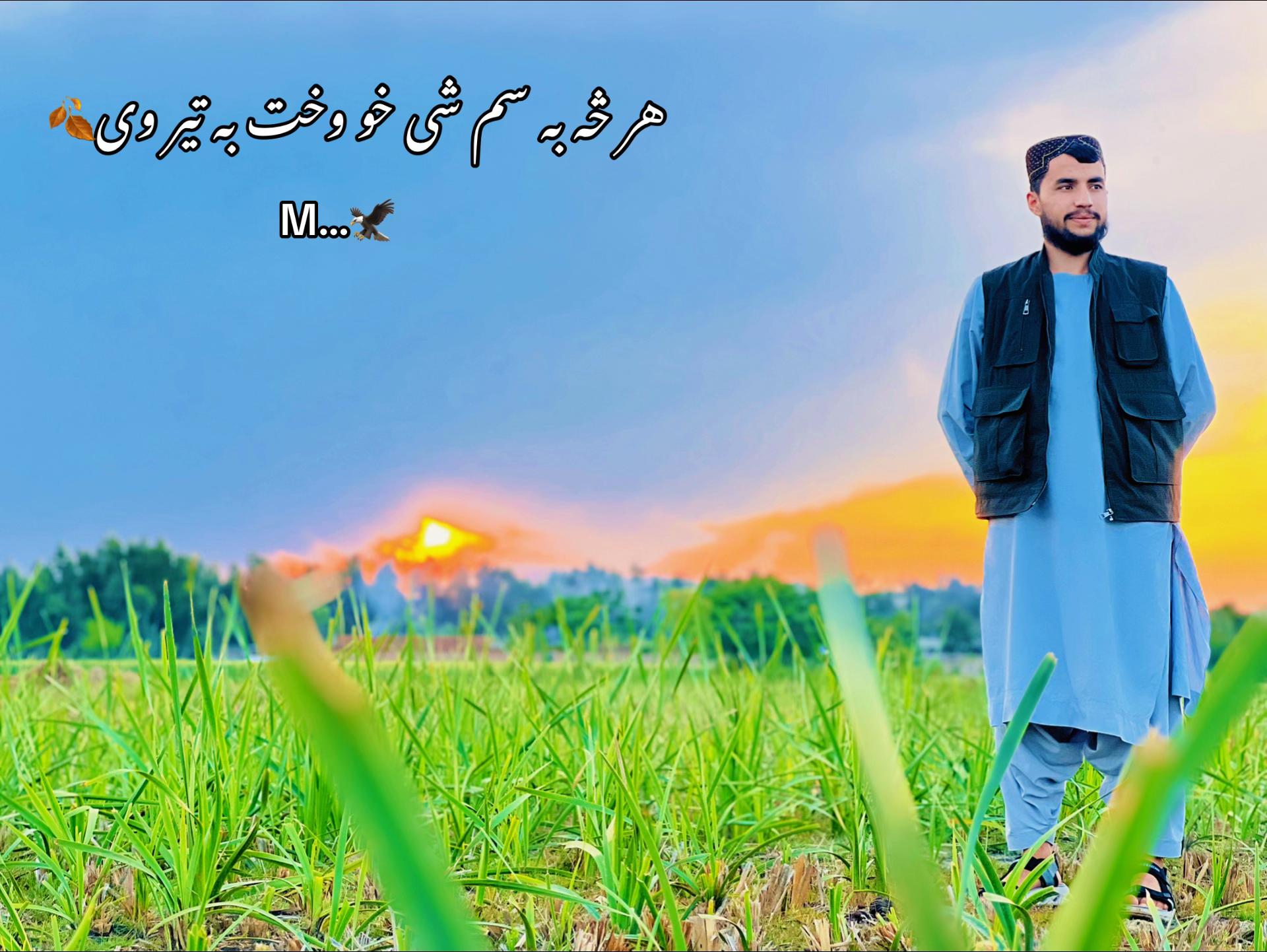 @Mayar Wardak—🦅