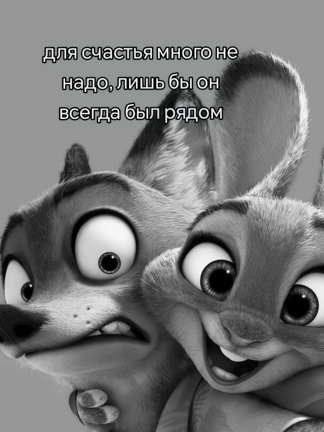 @kursedovva