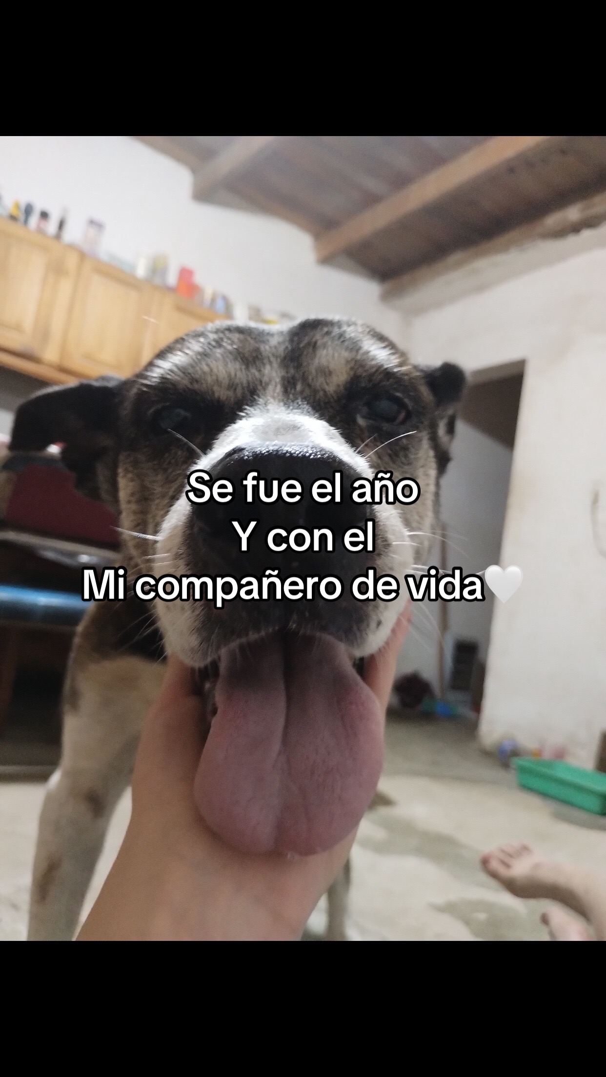 @kiara romano