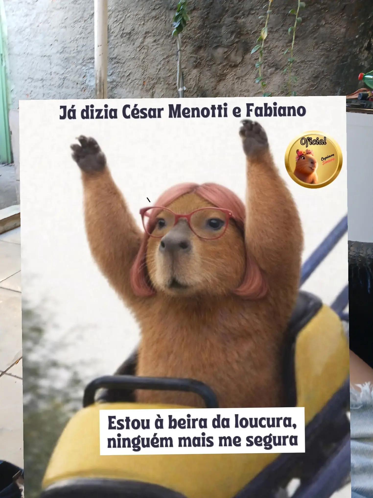 @Celiane