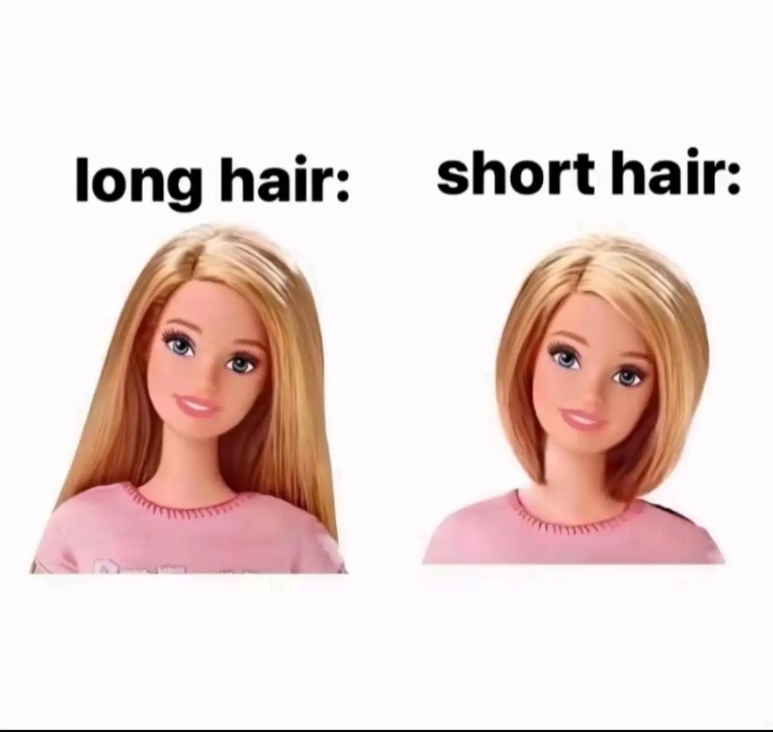 @🪼⋆.ೃ࿔*:・