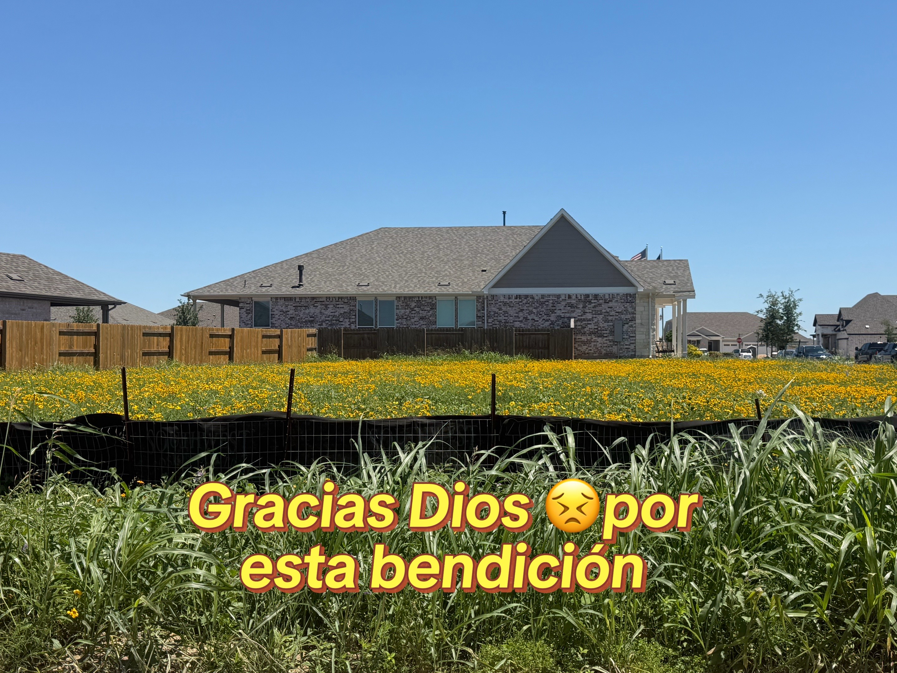 @Wendy Arriaga145