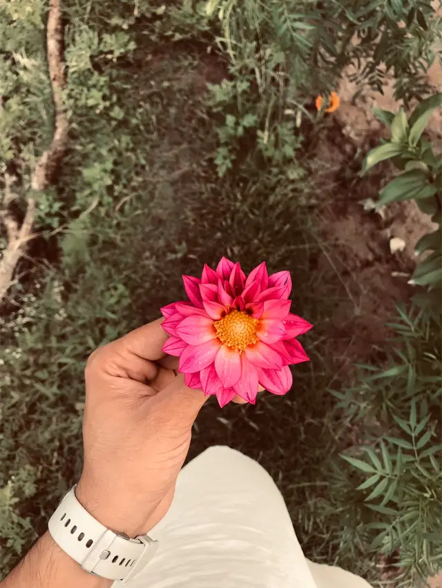 @✰ 𝐃a҉𝐍i҉𝐒H҉ 𝐌a҉𝐒e҉e𝐃 ҉ ✰
