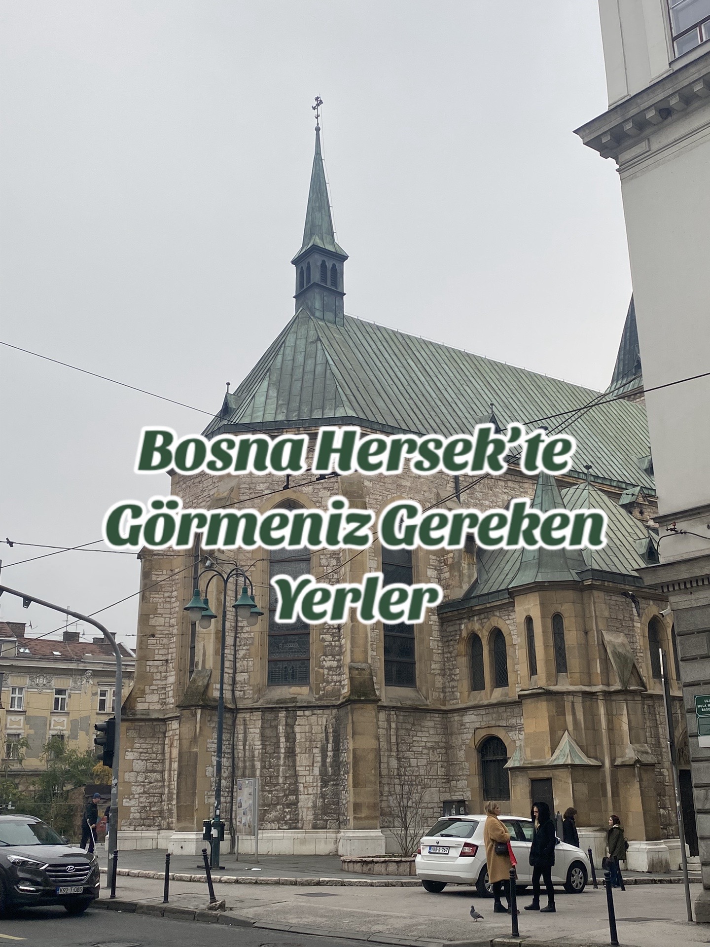 @İstanbul Kedisi