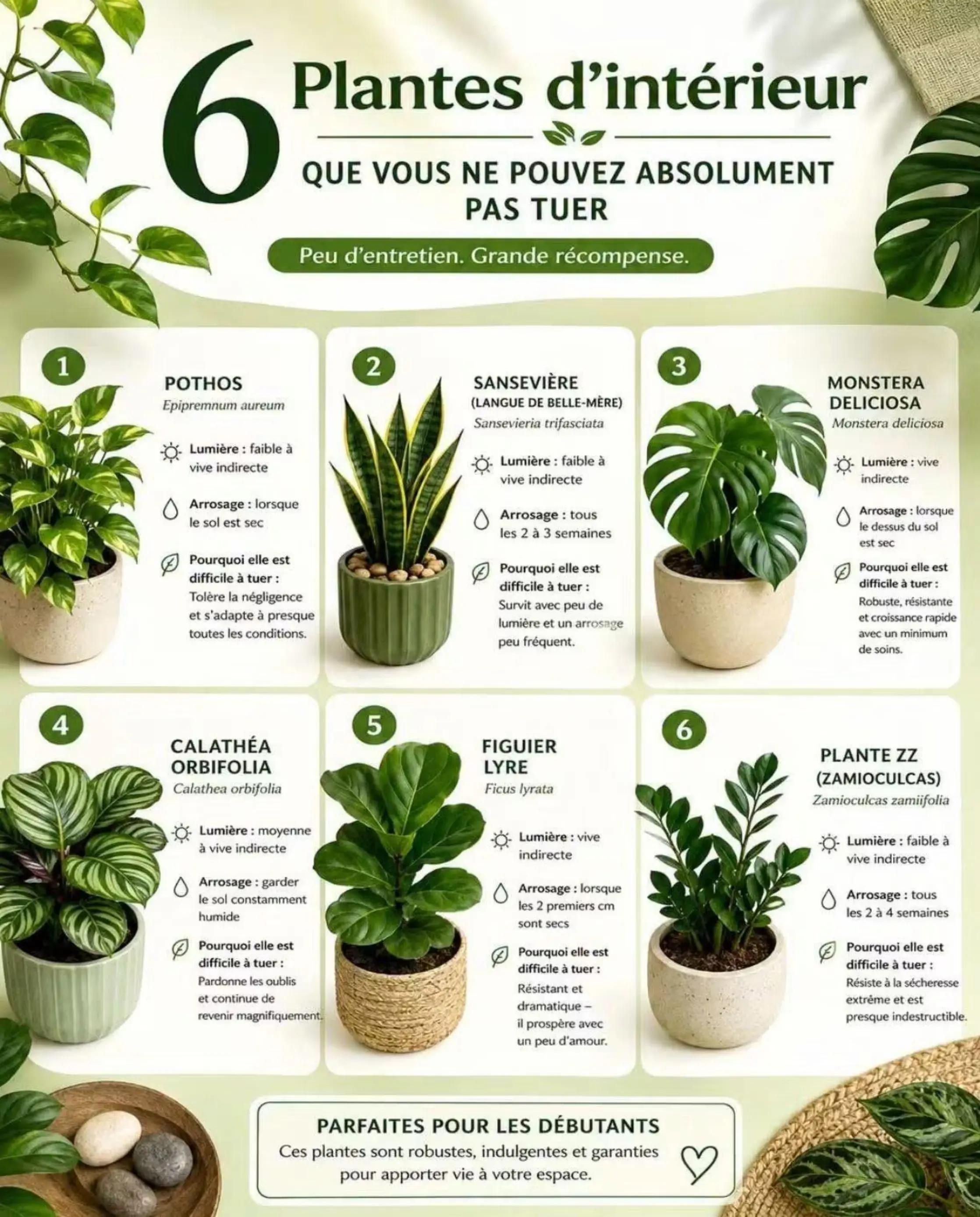 @L’Éphémère