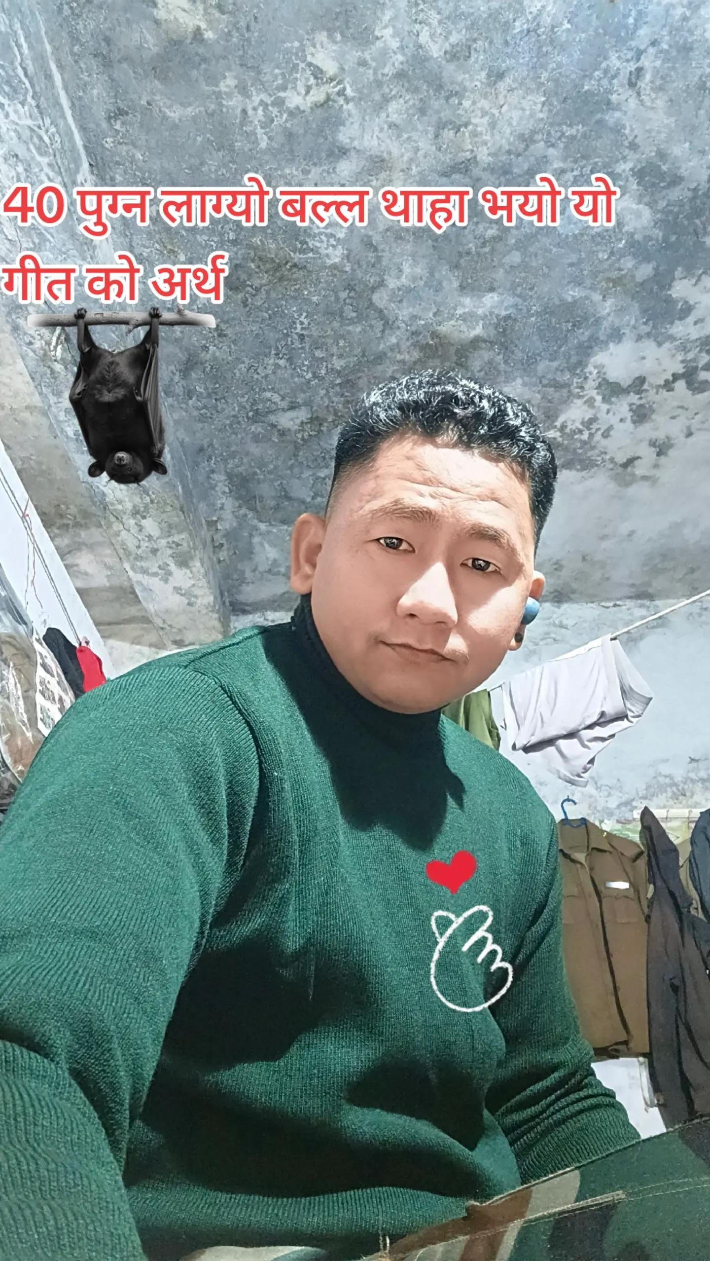 @qlsale